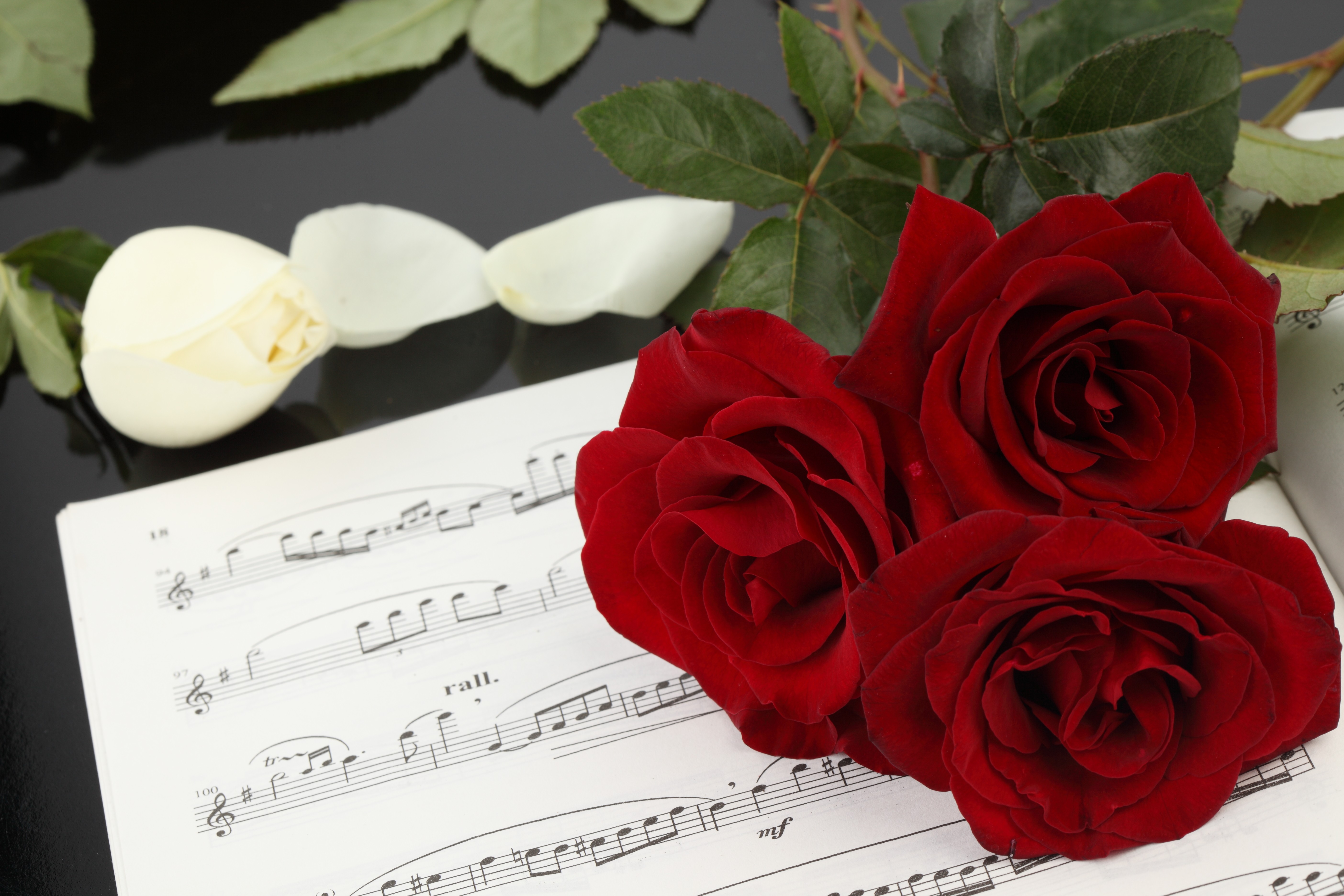 Включи песню цветы. Ноты и цветы. Цветы на рояле. Розы и Ноты. Музыкальный цветок.