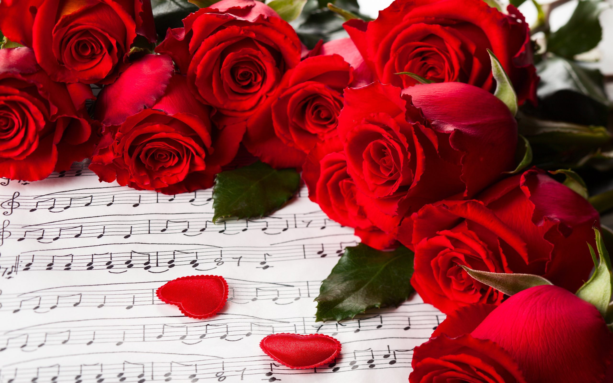 Hearts Valentines Day Red Roses Nature For You Roses Music Rose With ...