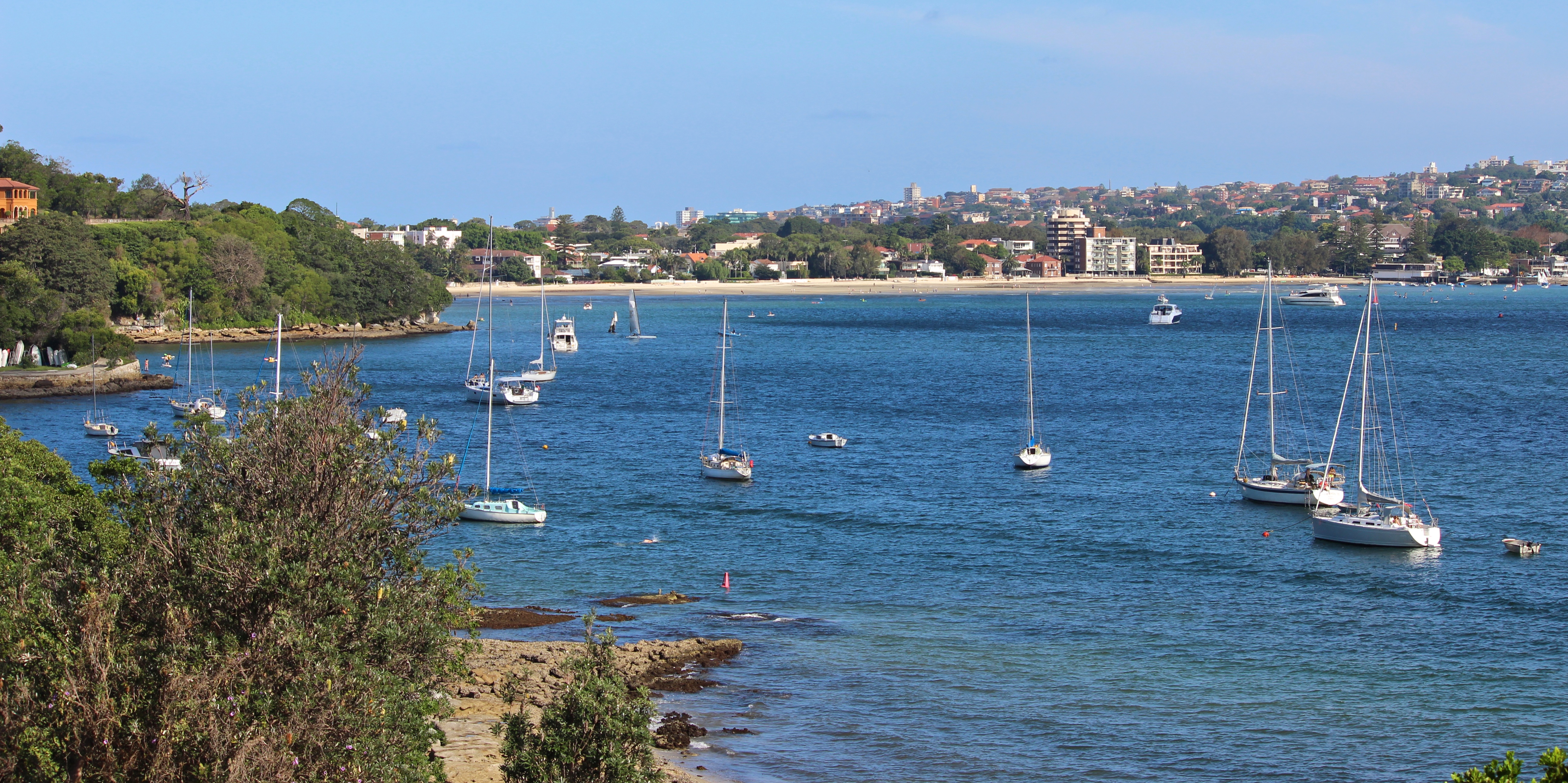 Rose bay from vaucluse photo
