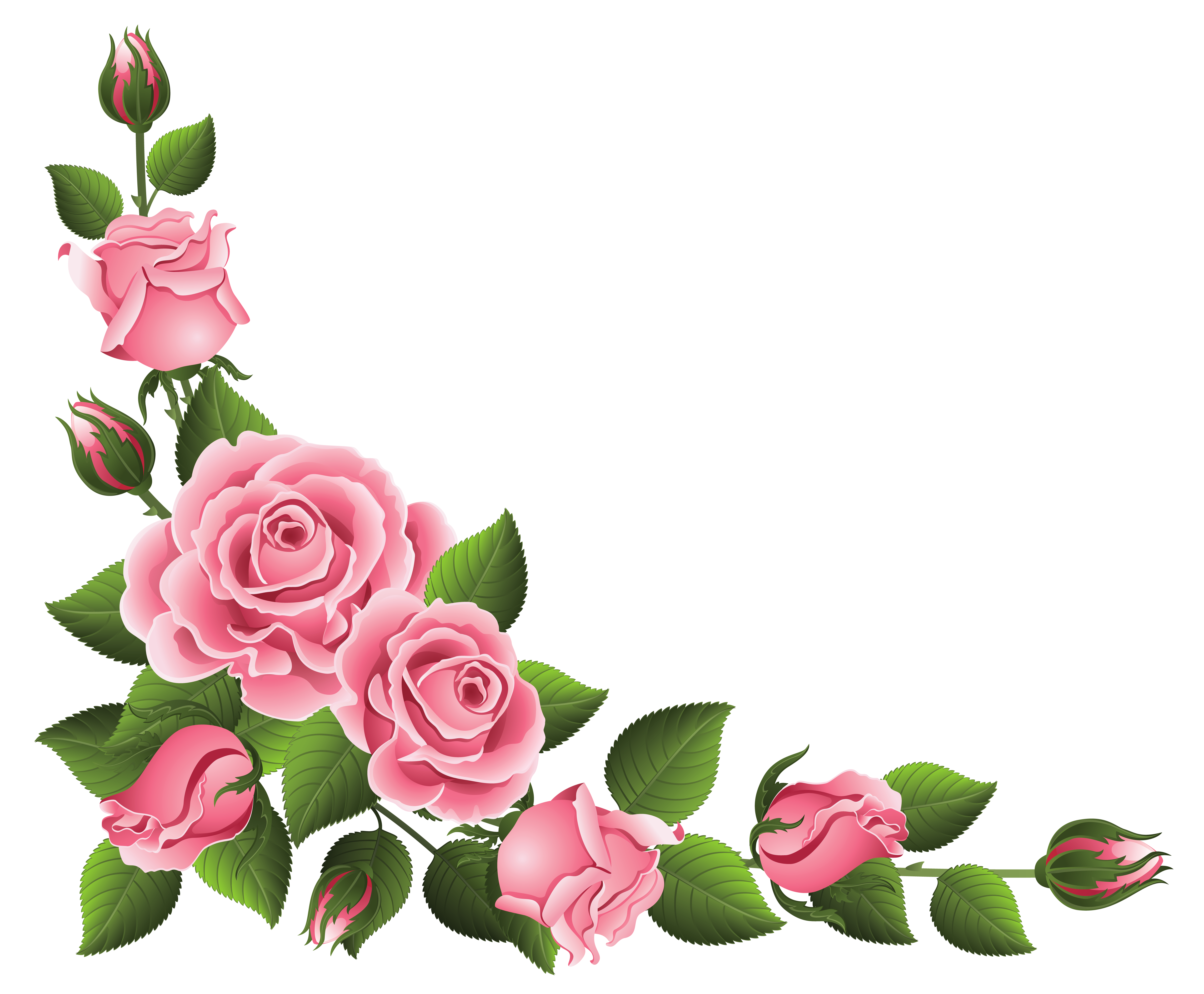Rose Border Clipart Glamorous #39945 - Coloring Pages & Clip Arts