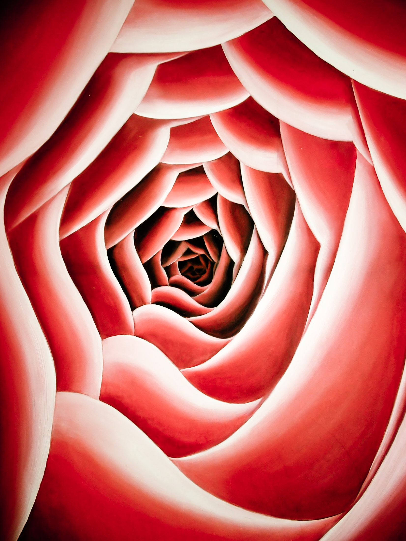 Rose painting photo