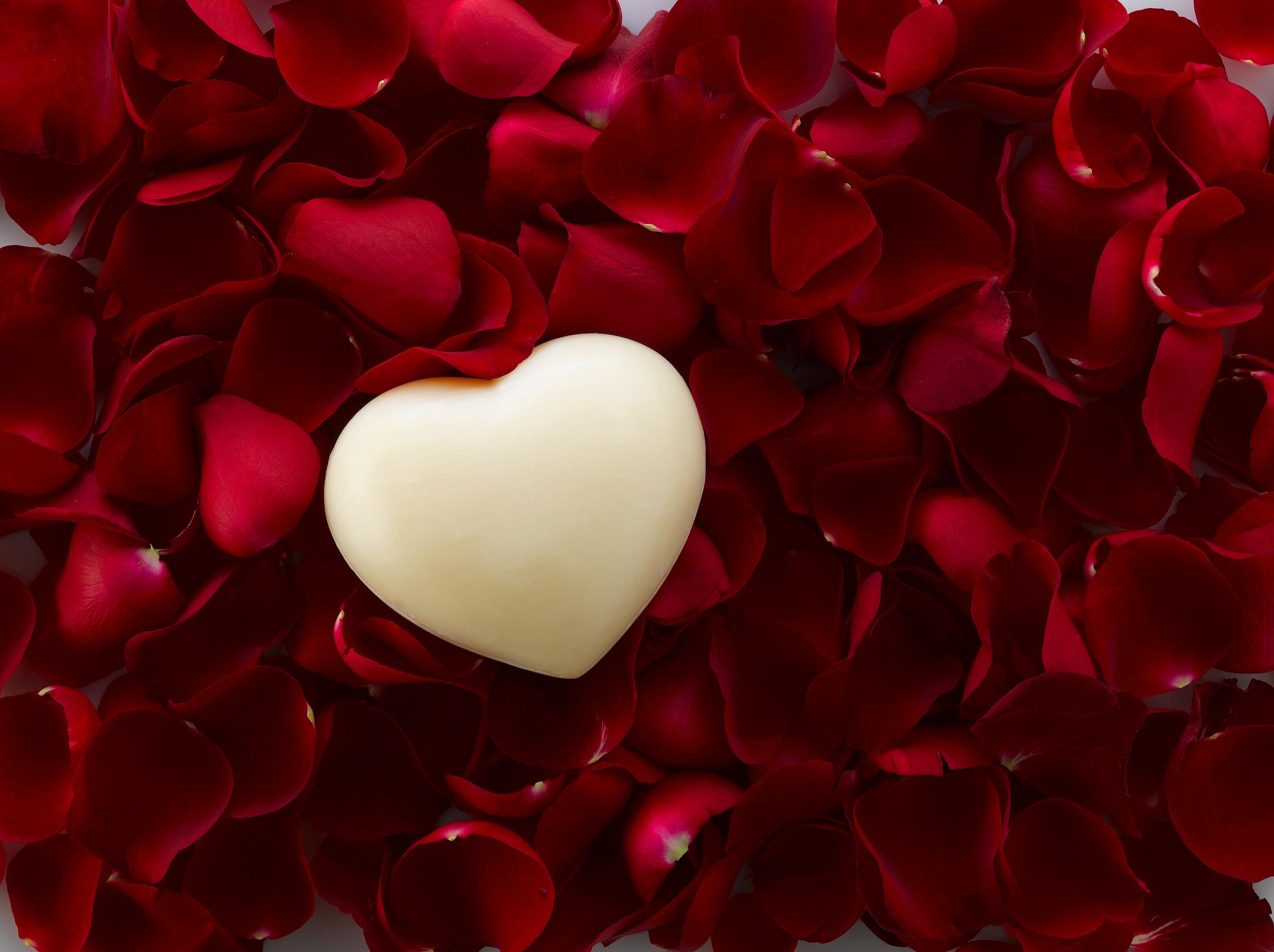 Wallpaper Love heart, Rose petals, 4K, Love, #6296