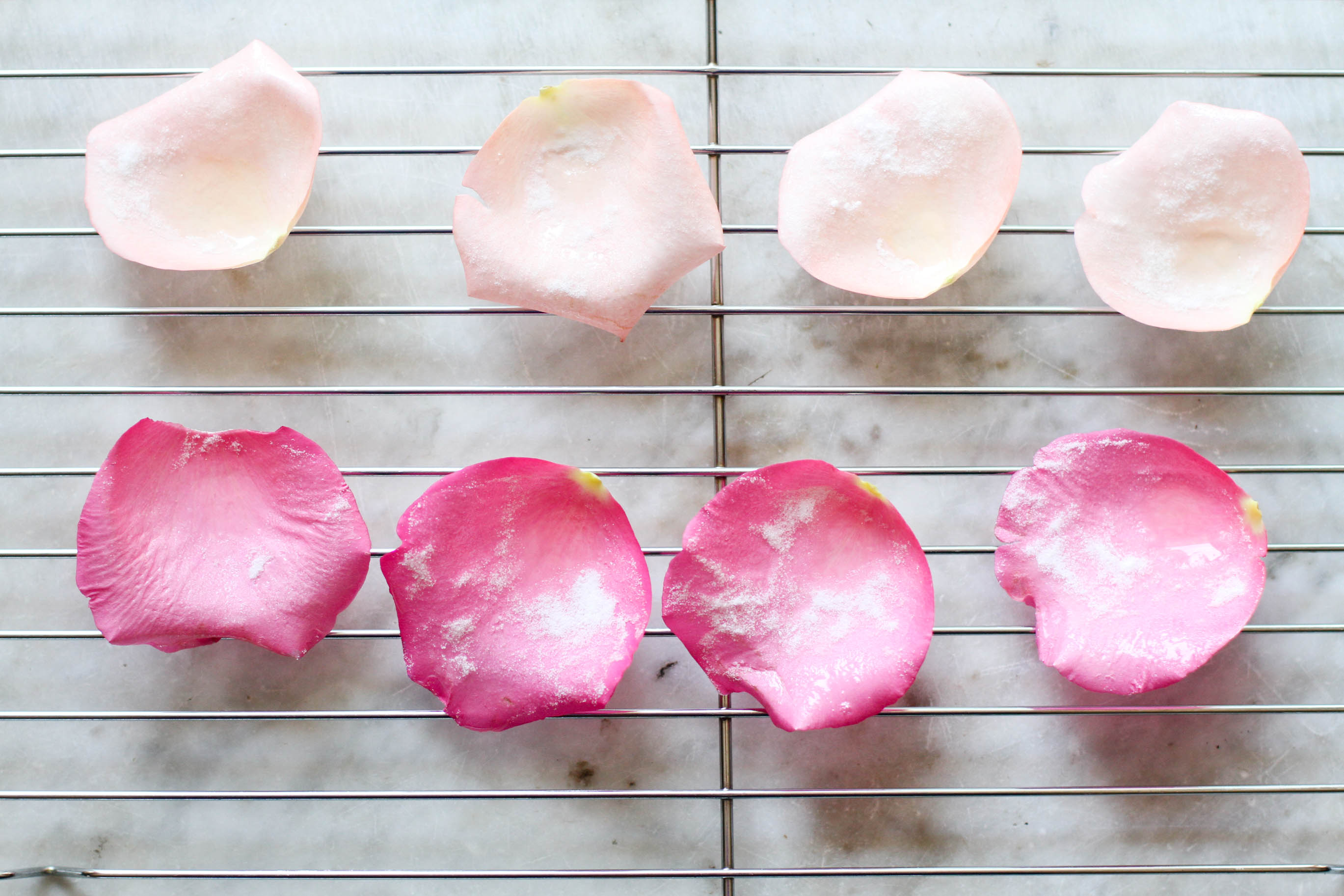 How to Make Frosted Rose Petals: 5 Steps (with Pictures) - wikiHow