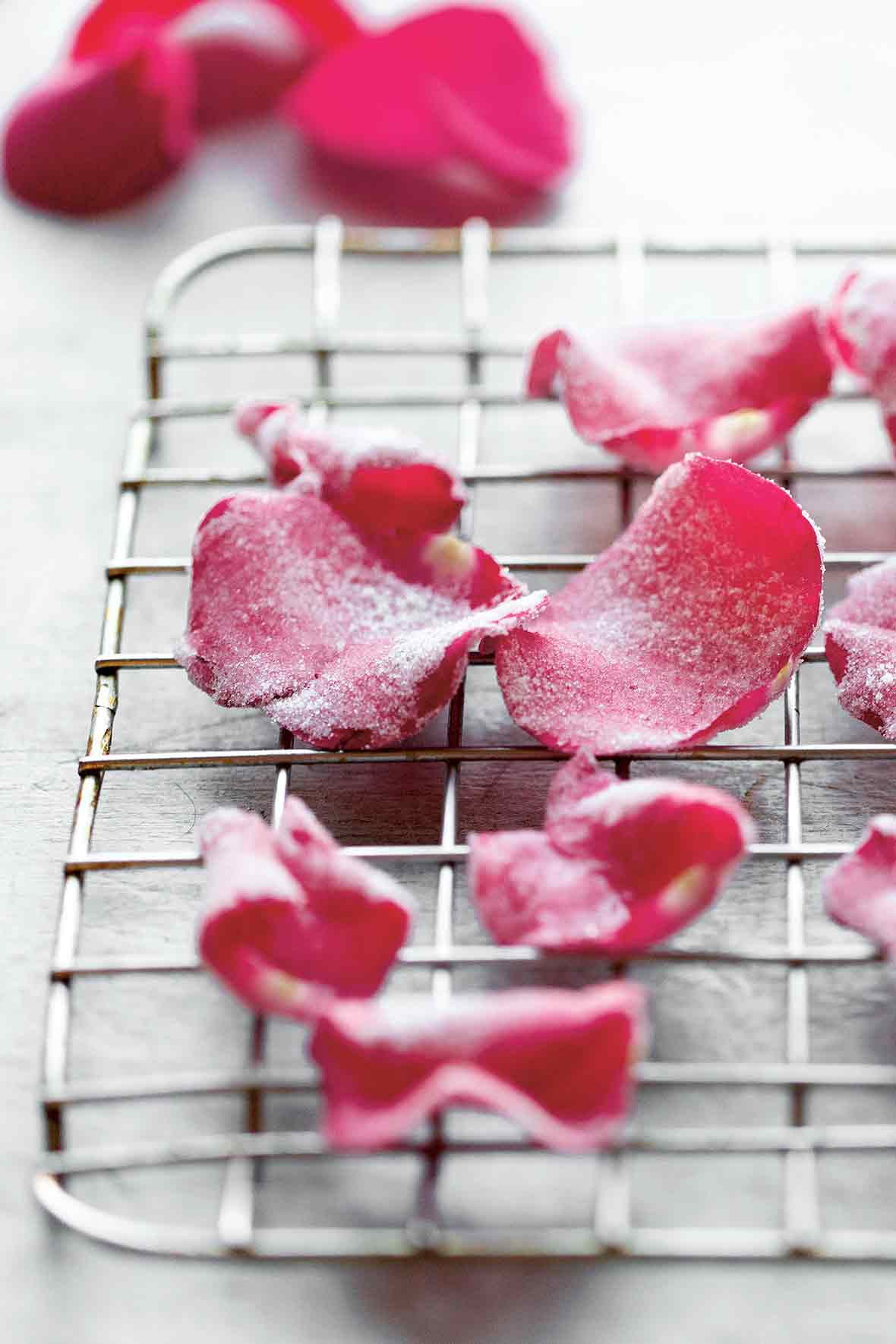Candied Rose Petals Recipe | Leite's Culinaria