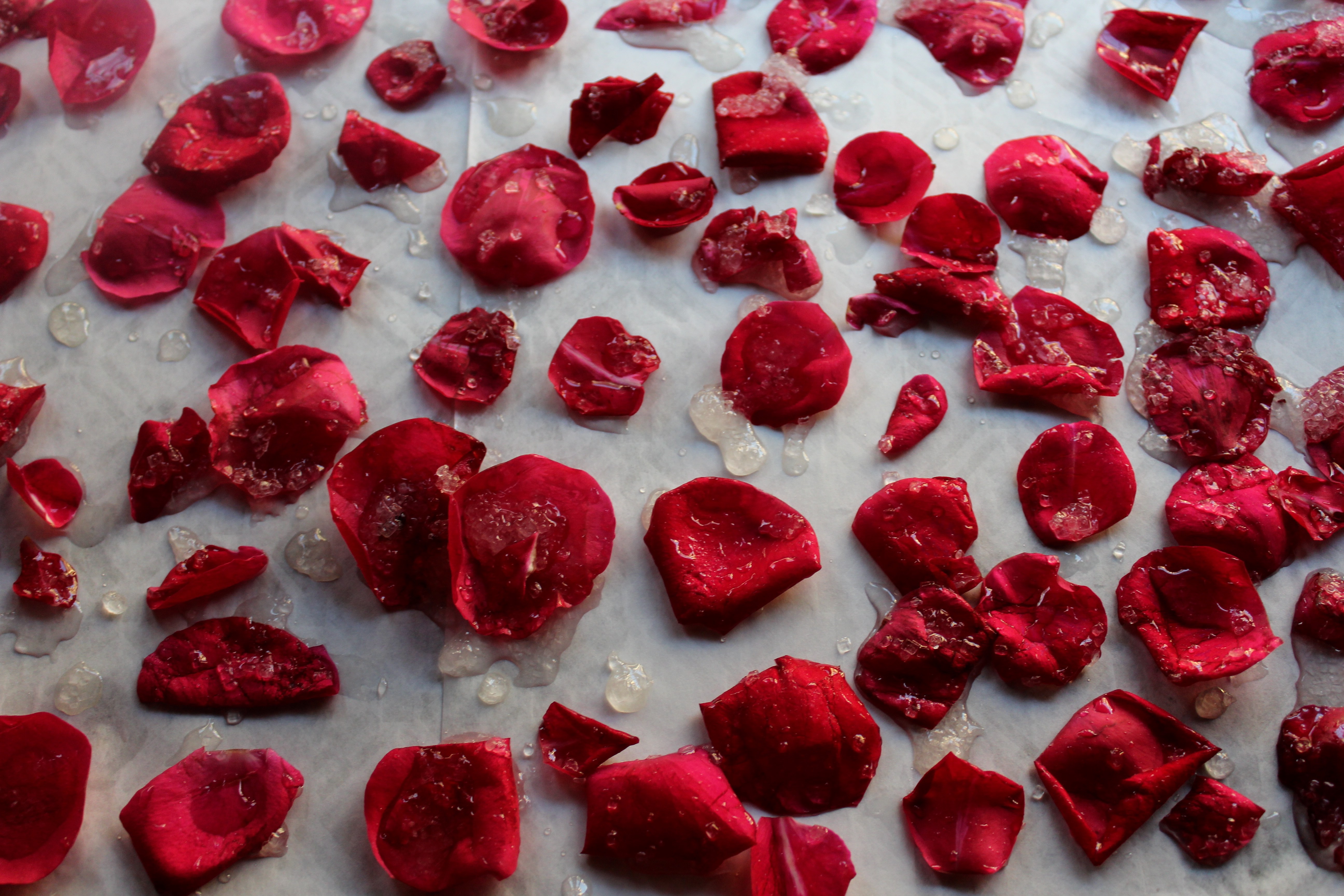 Candied Rose Petals (Eggless) - The Food Samaritan