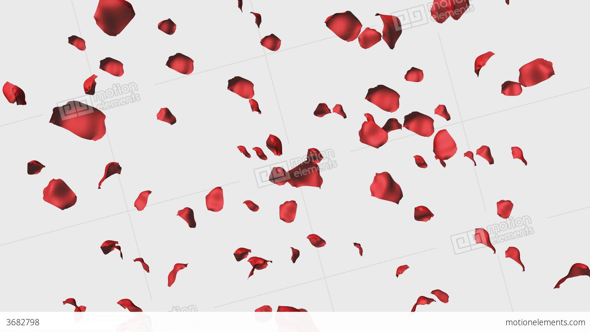 3D Animation Of Rose Petals Stock video footage | 3682798