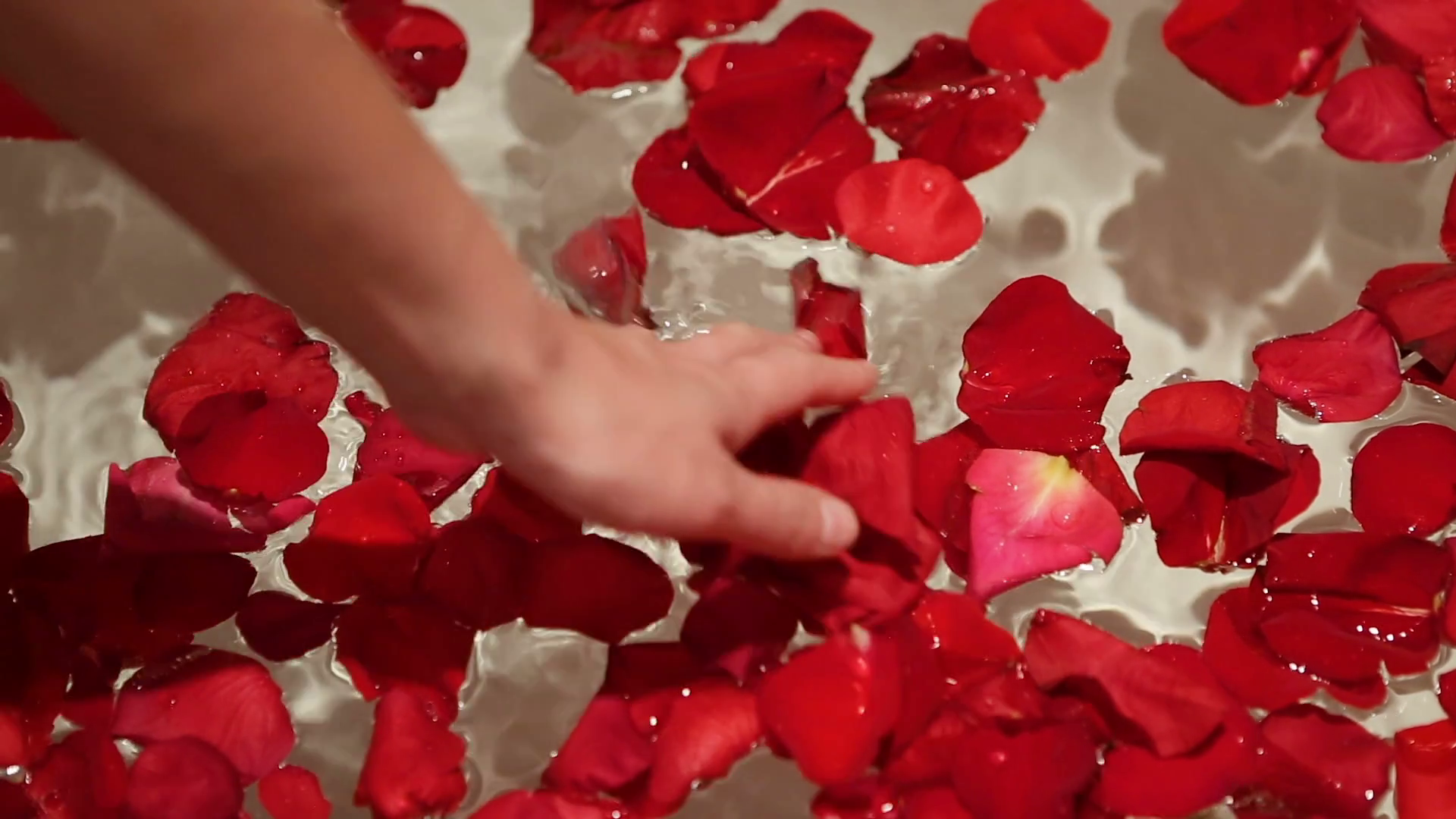 hand girl holds the water with red rose petals in the bathroom Stock ...