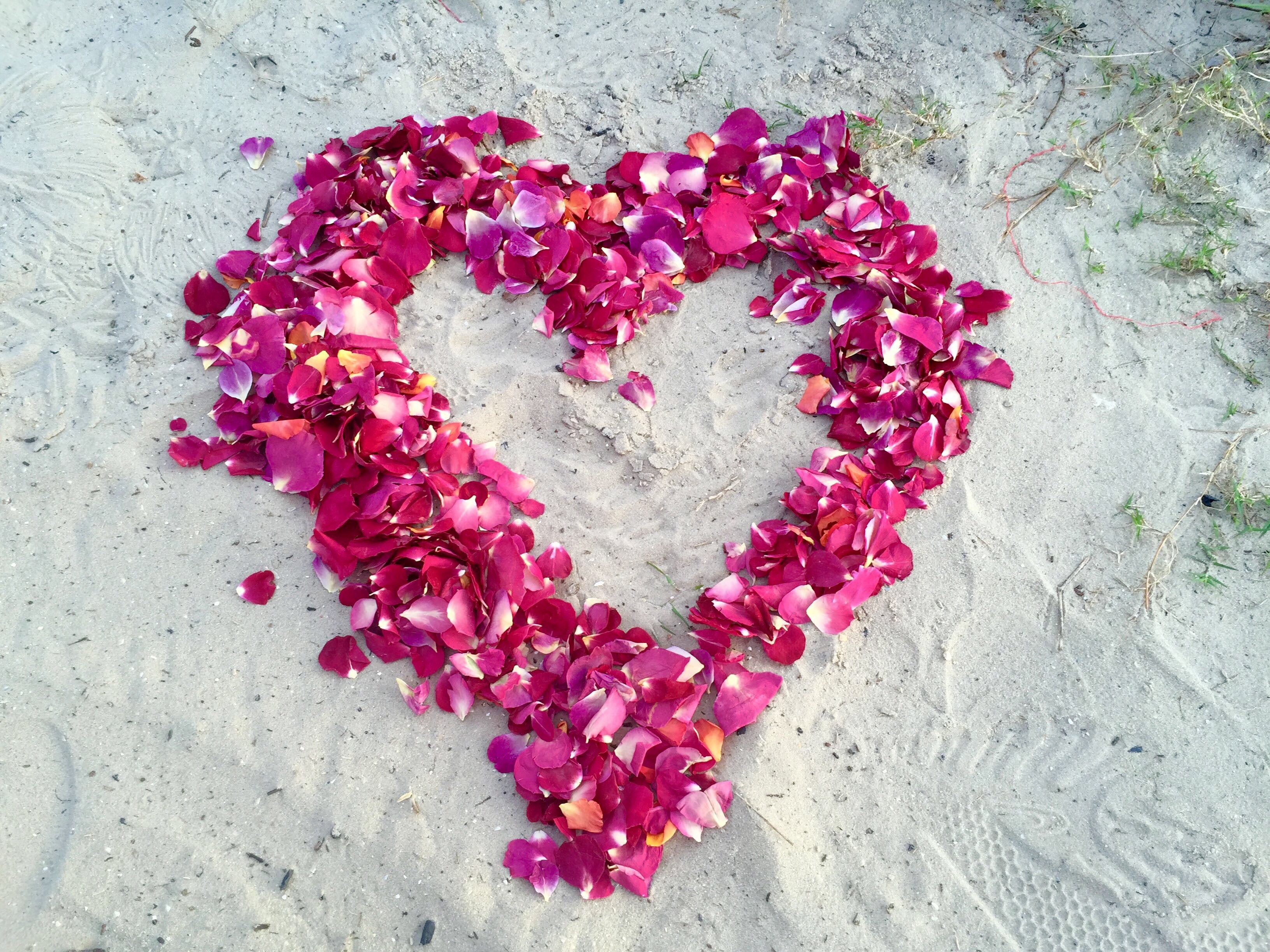Flyboy Naturals Rose Petals – Love and Marij