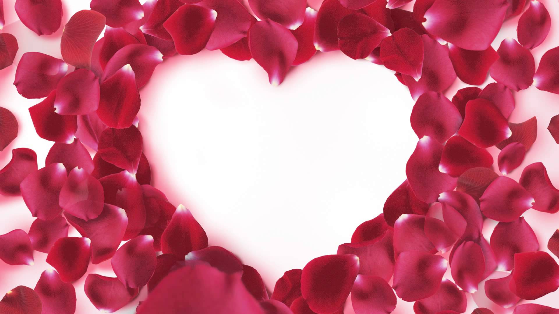 Footage Background Rose Petals Heart Frame - YouTube
