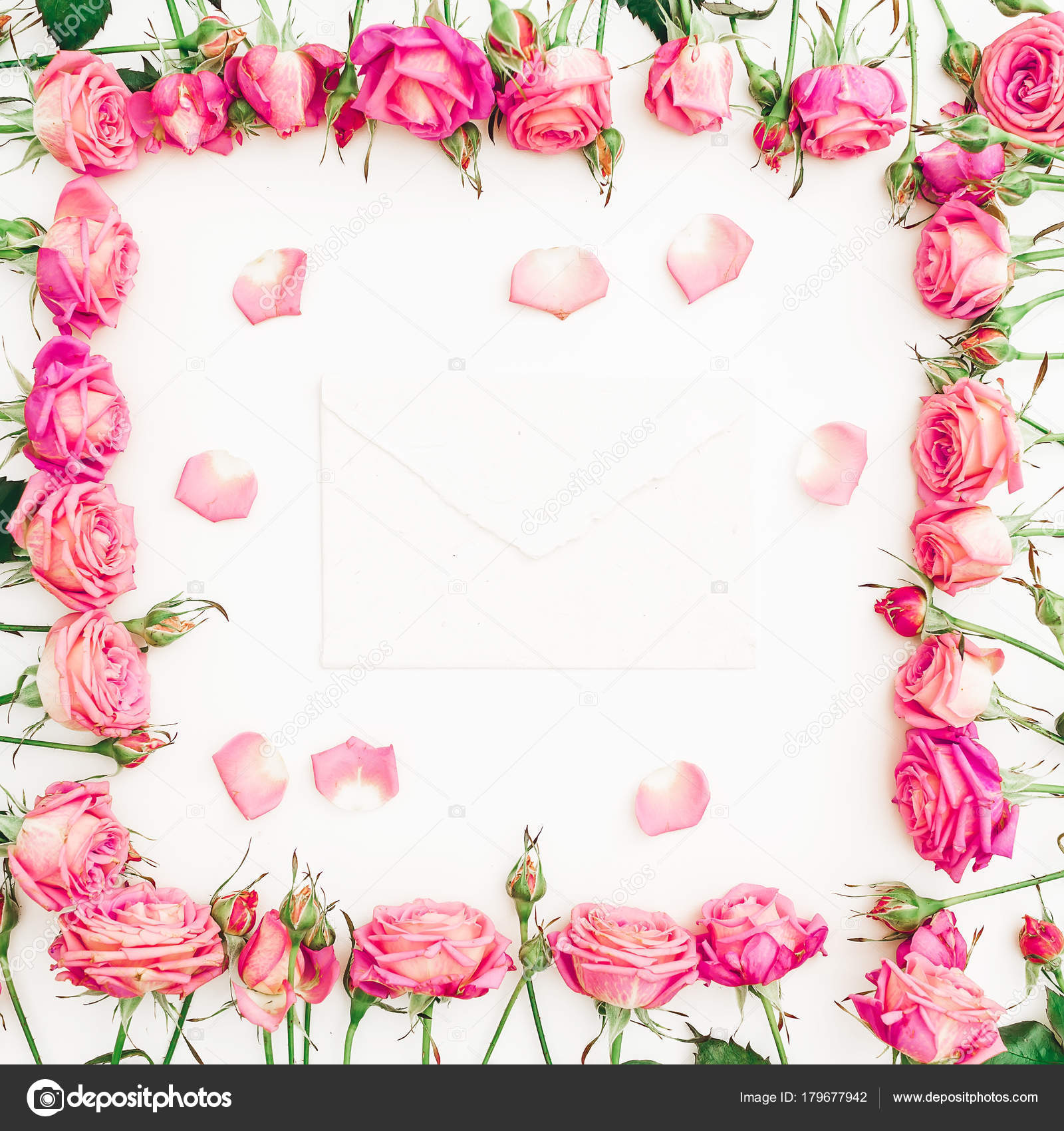 Flower Frame Pink Roses Petals Envelope White Background Flat Lay ...