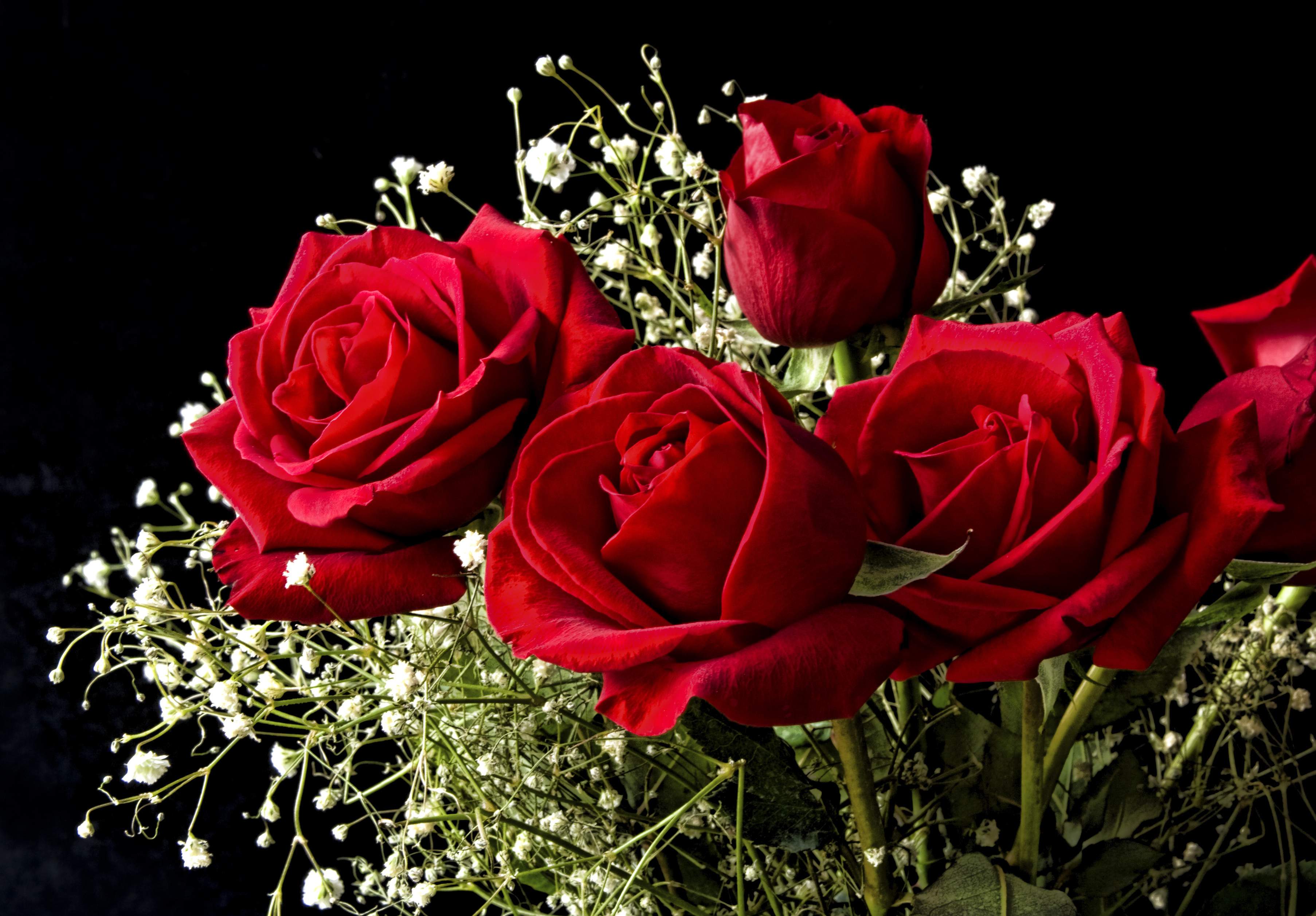 Scientists Create Electronic Circuits In Living Roses | Popular Science