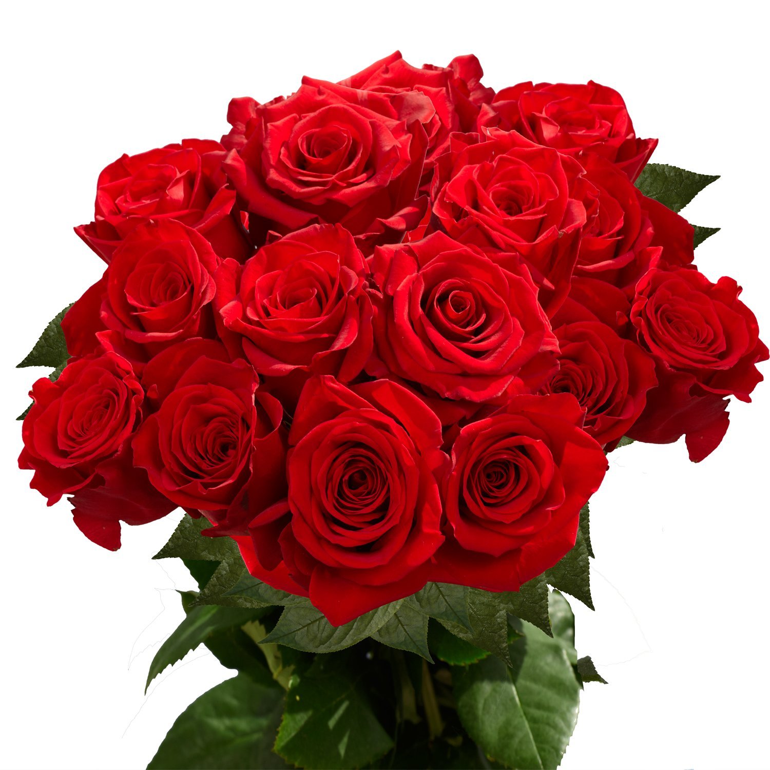 Amazon.com : GlobalRose 50 Fresh Long Stem Red Roses : Grocery ...