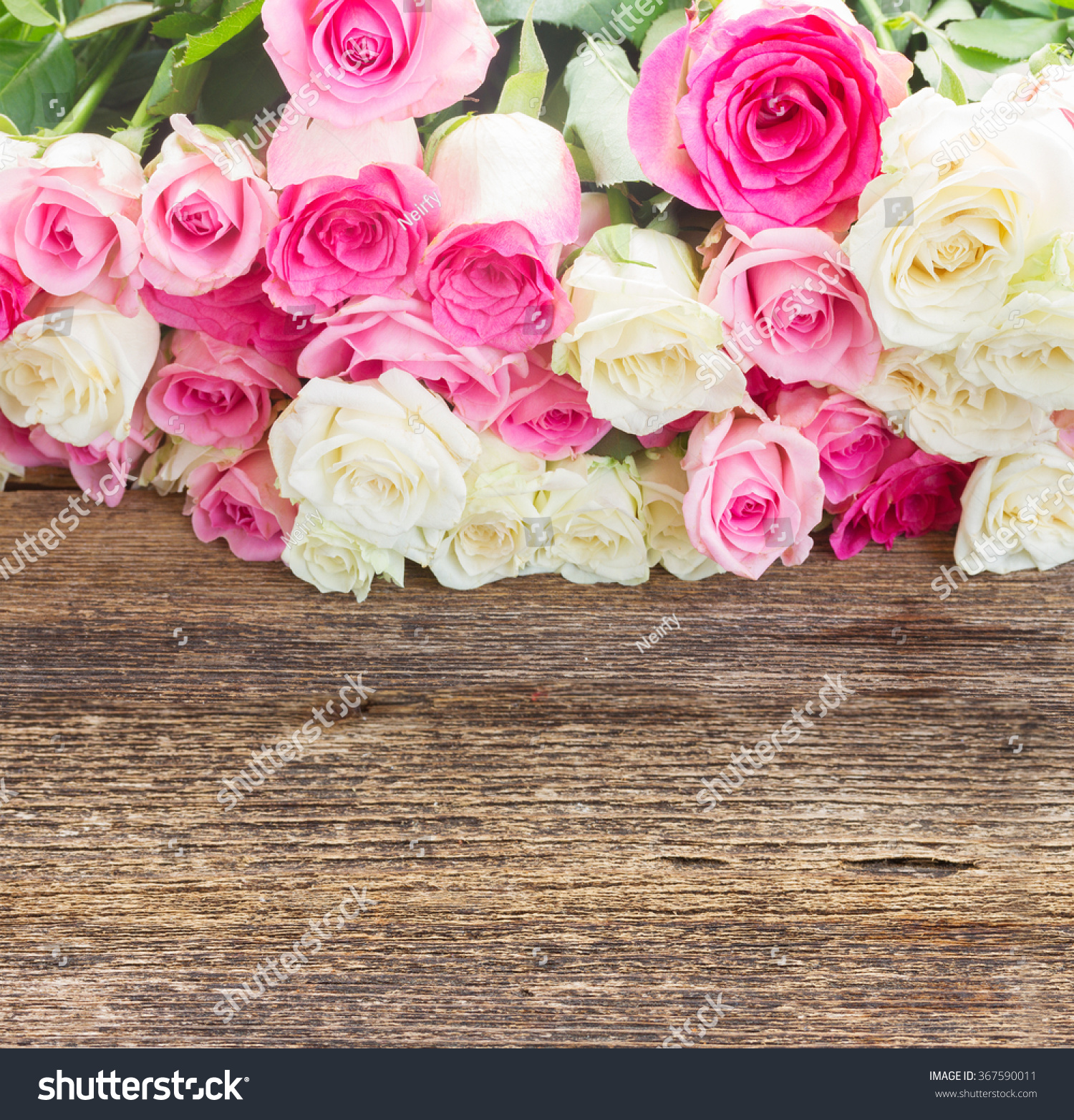 Bunch Pink White Roses On Wooden Stock Photo (Royalty Free ...