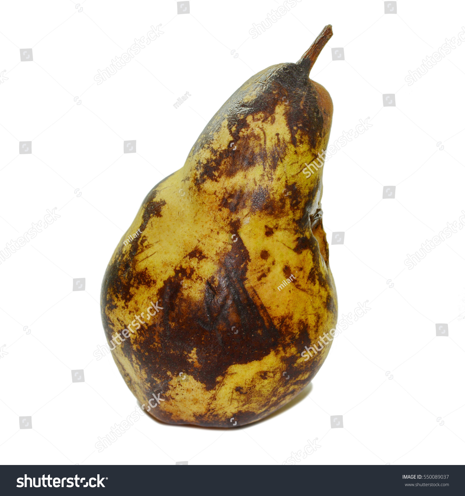 Rotten Decomposing Organic Pear On White Stock Photo 550089037 ...