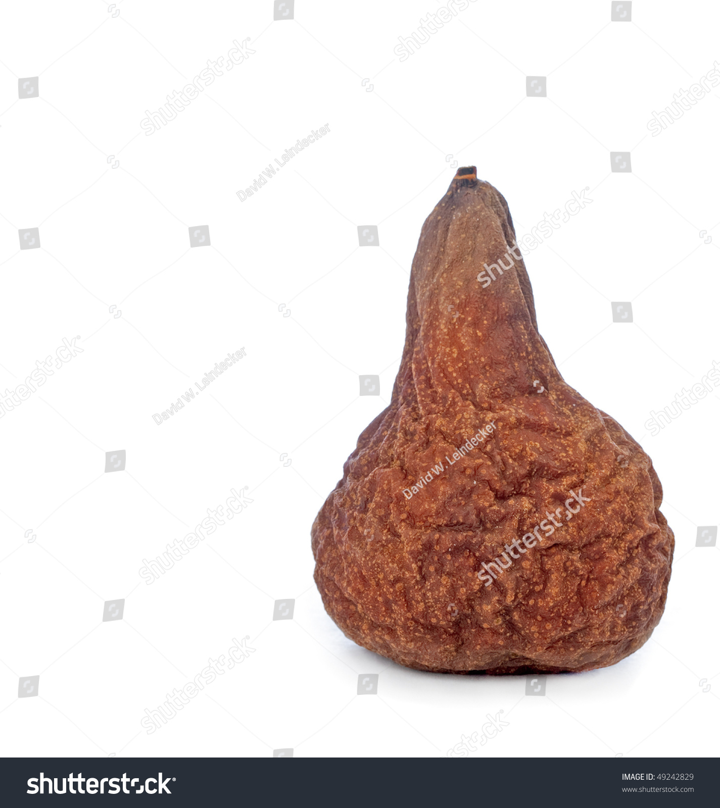 Wasted Rotten Green Pear Stock Photo 49242829 - Shutterstock