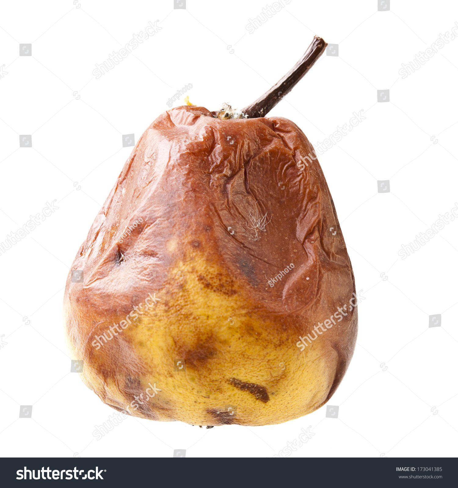 Rotten Pear White Background Stock Photo (Royalty Free) 173041385 ...