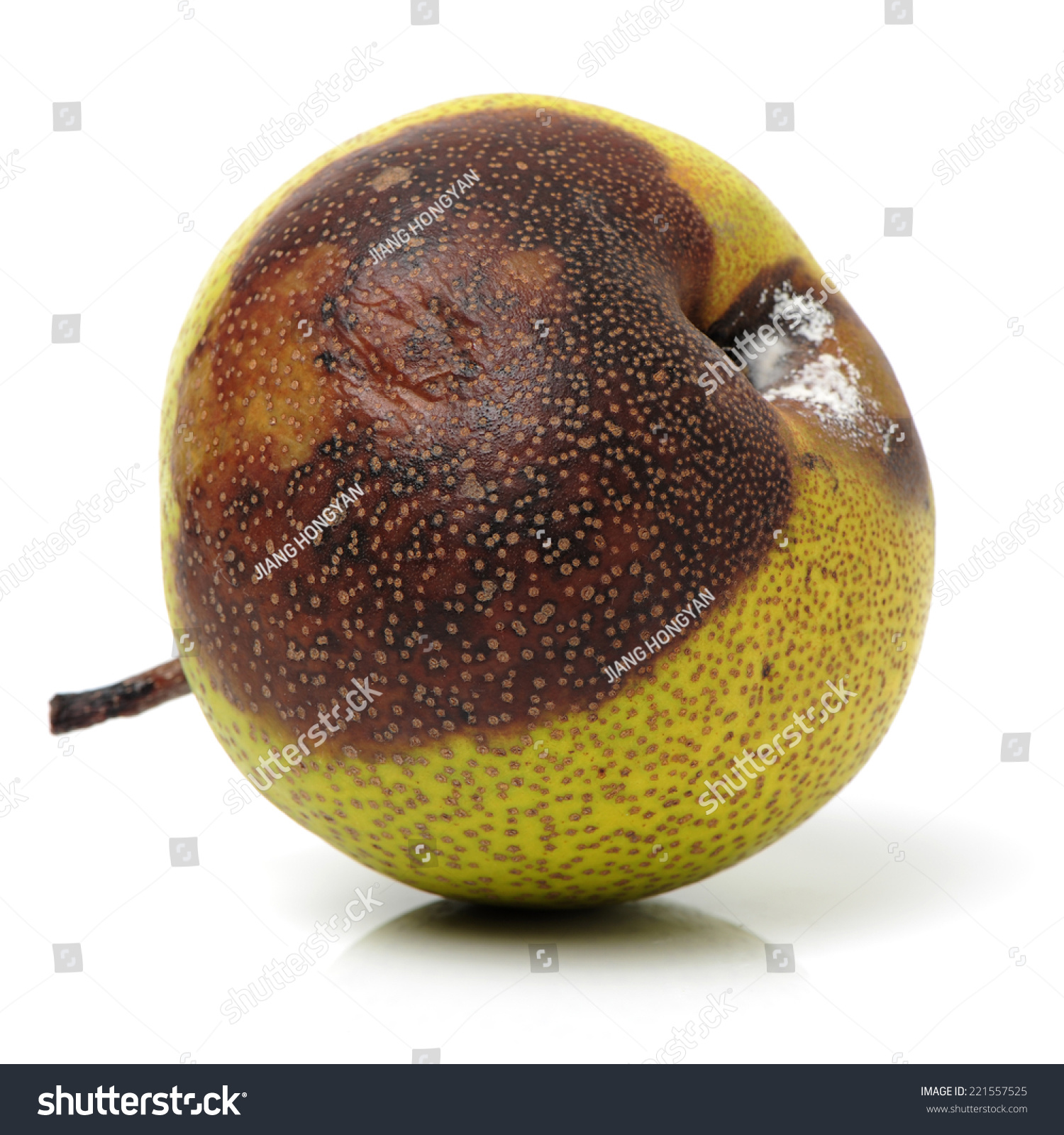 Sick Disgusting Rotten Pear Mold Isolated Stock Photo (Royalty Free ...