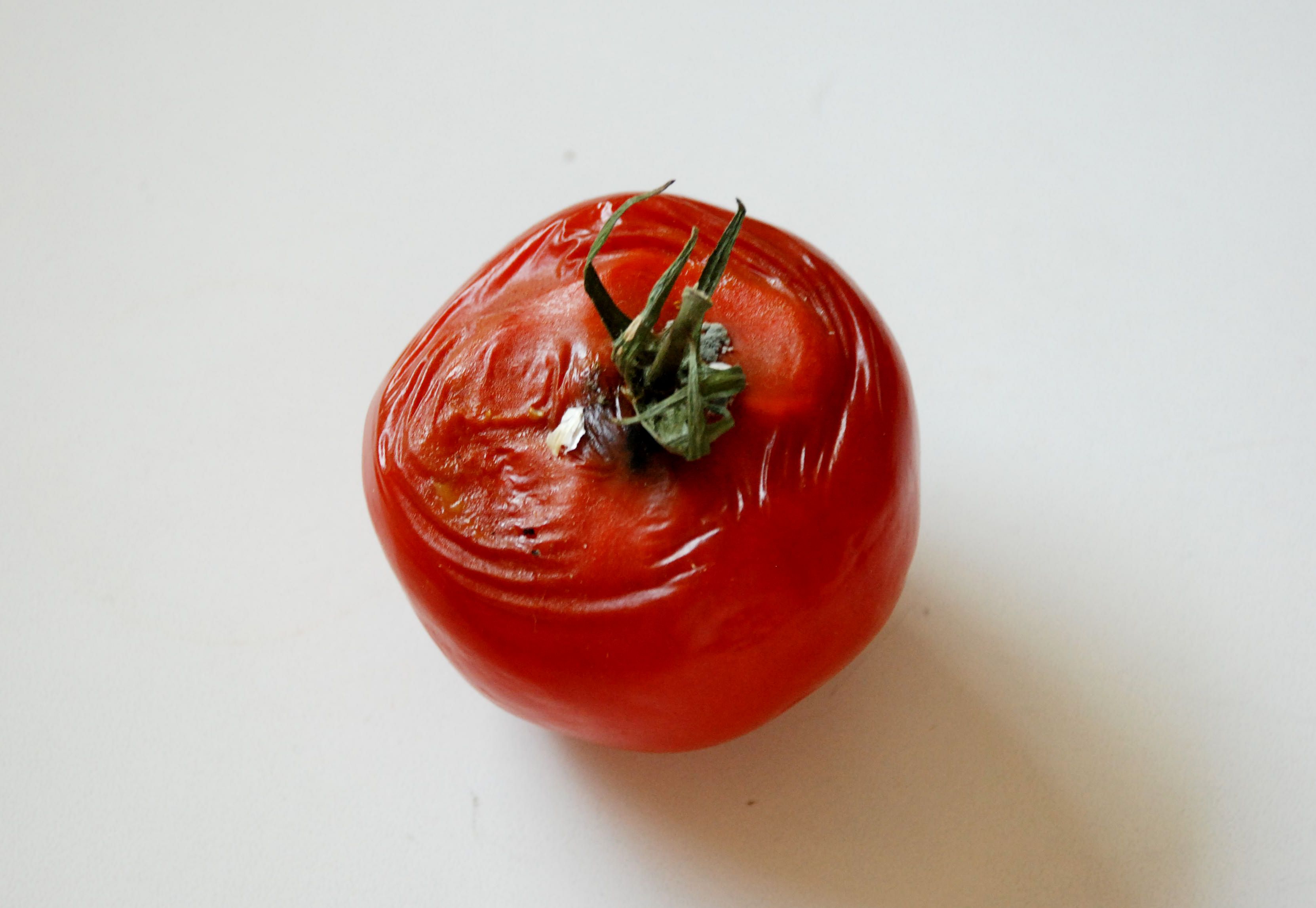 Rotten tomato | Odd Stuff | Pinterest
