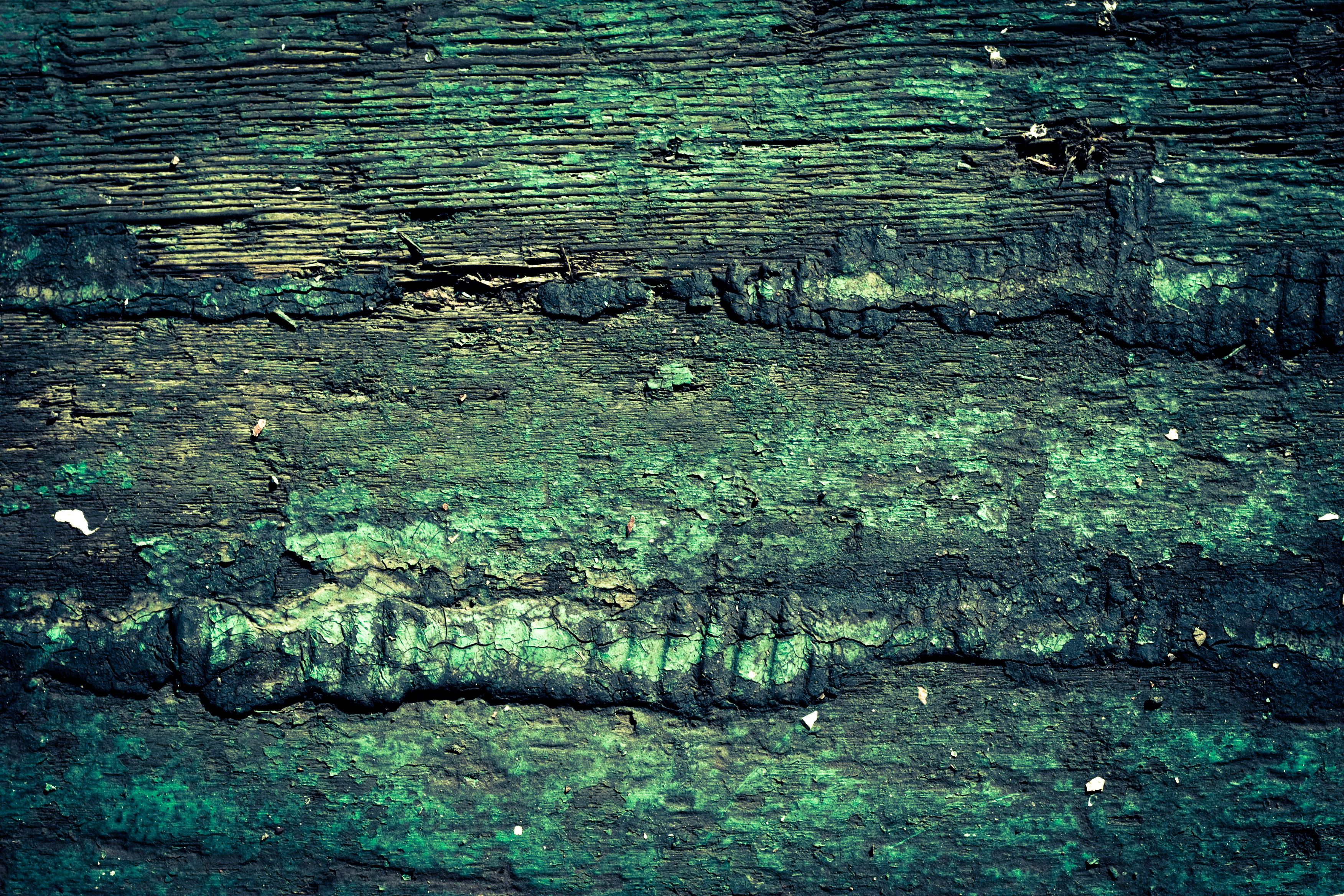 Rotten wood texture photo