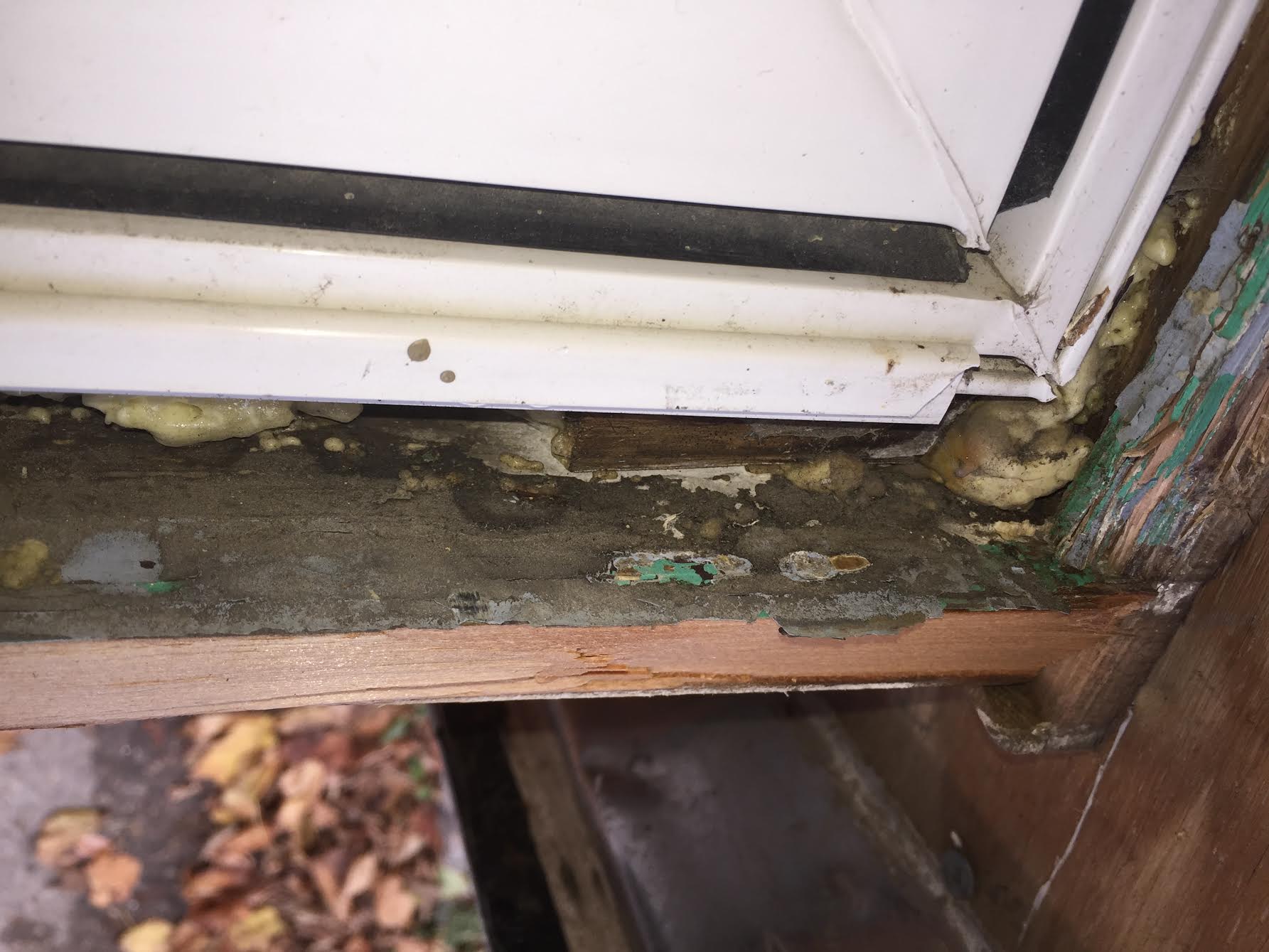 Rotting Wood Windows and Moldy Frames: What You Should Know