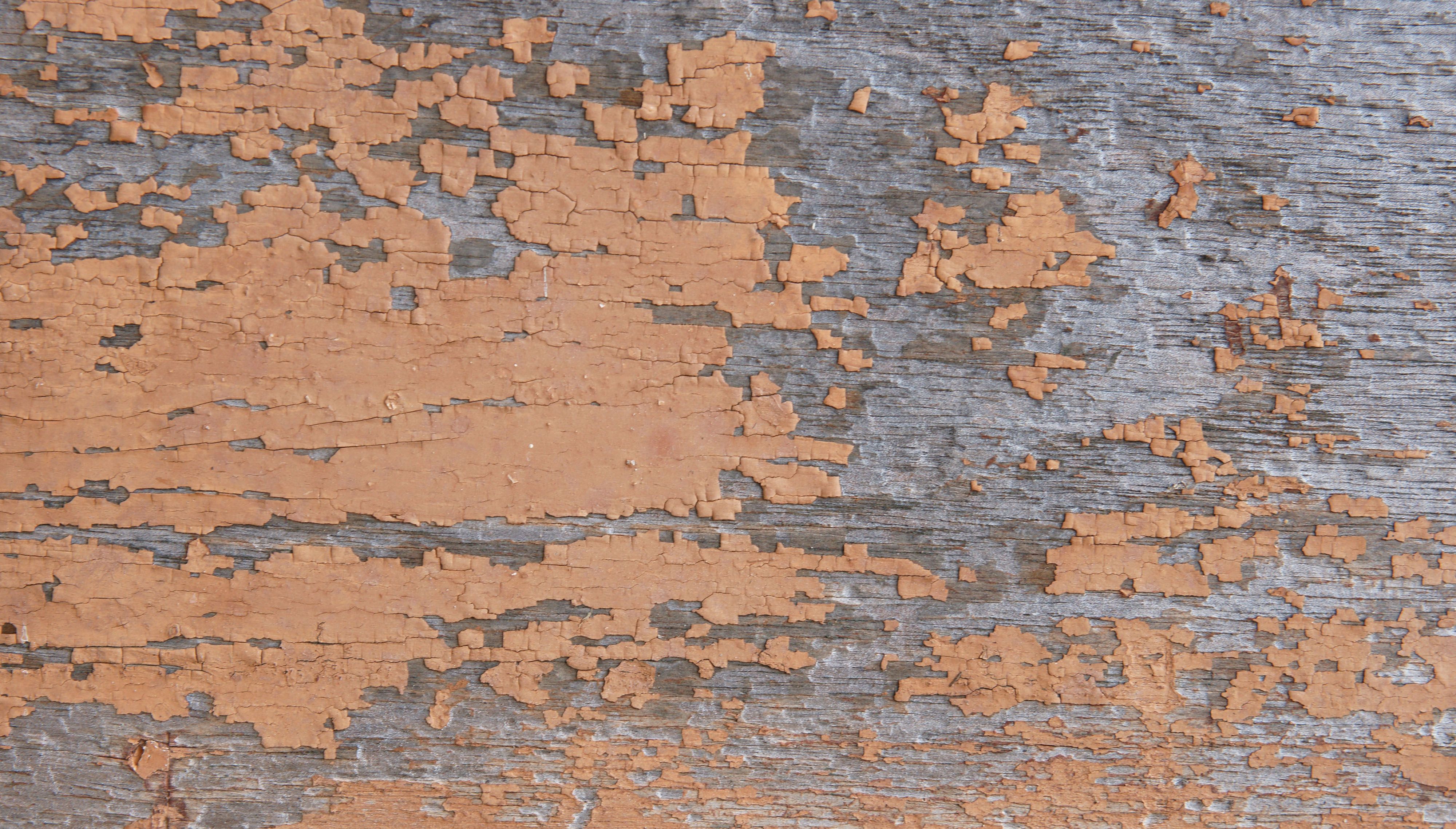 Wooden chip texture photo
