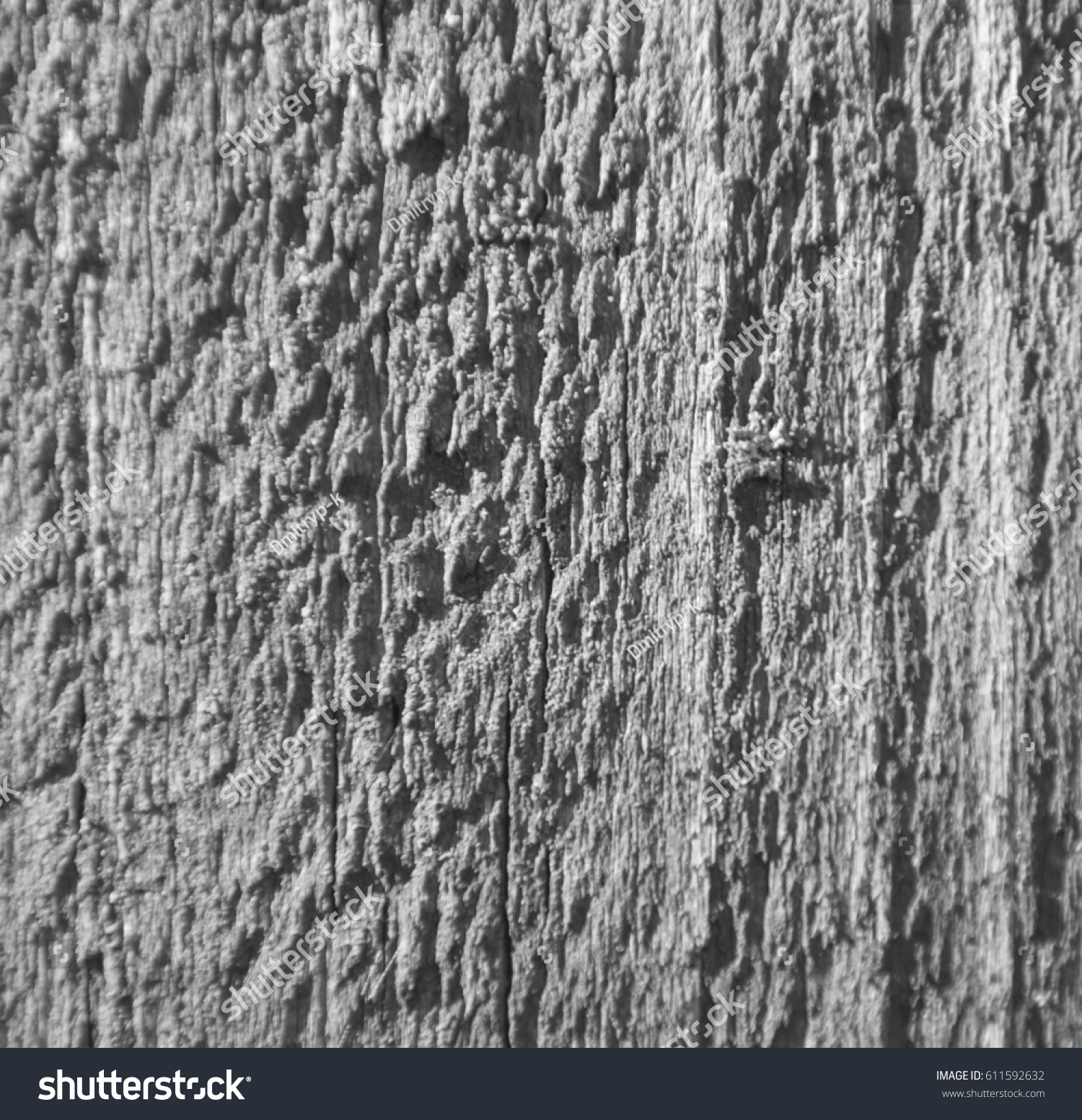 Black White Rough Surface Board Texture Stock Photo (Royalty Free ...