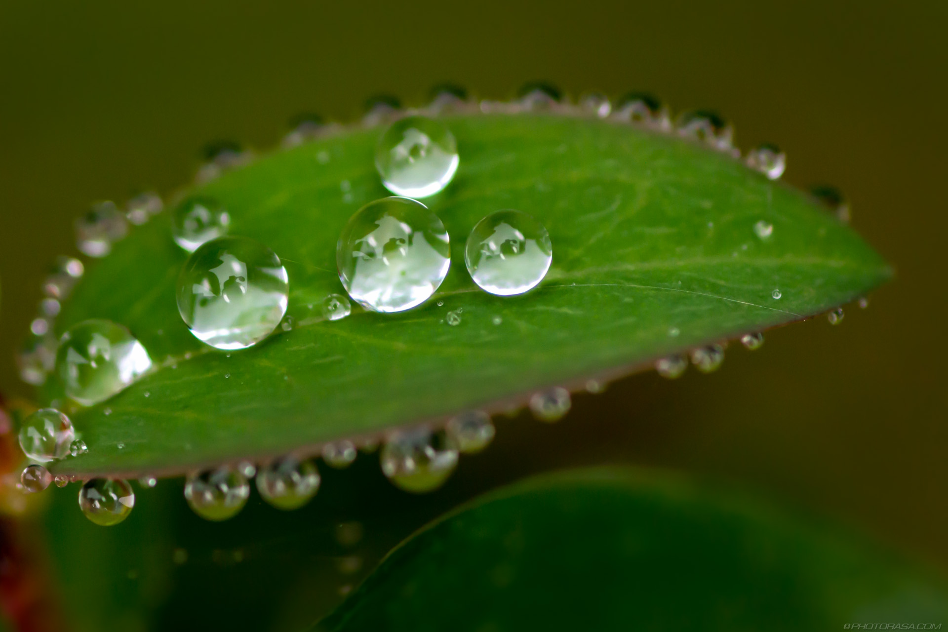 Free HD water droplet photos