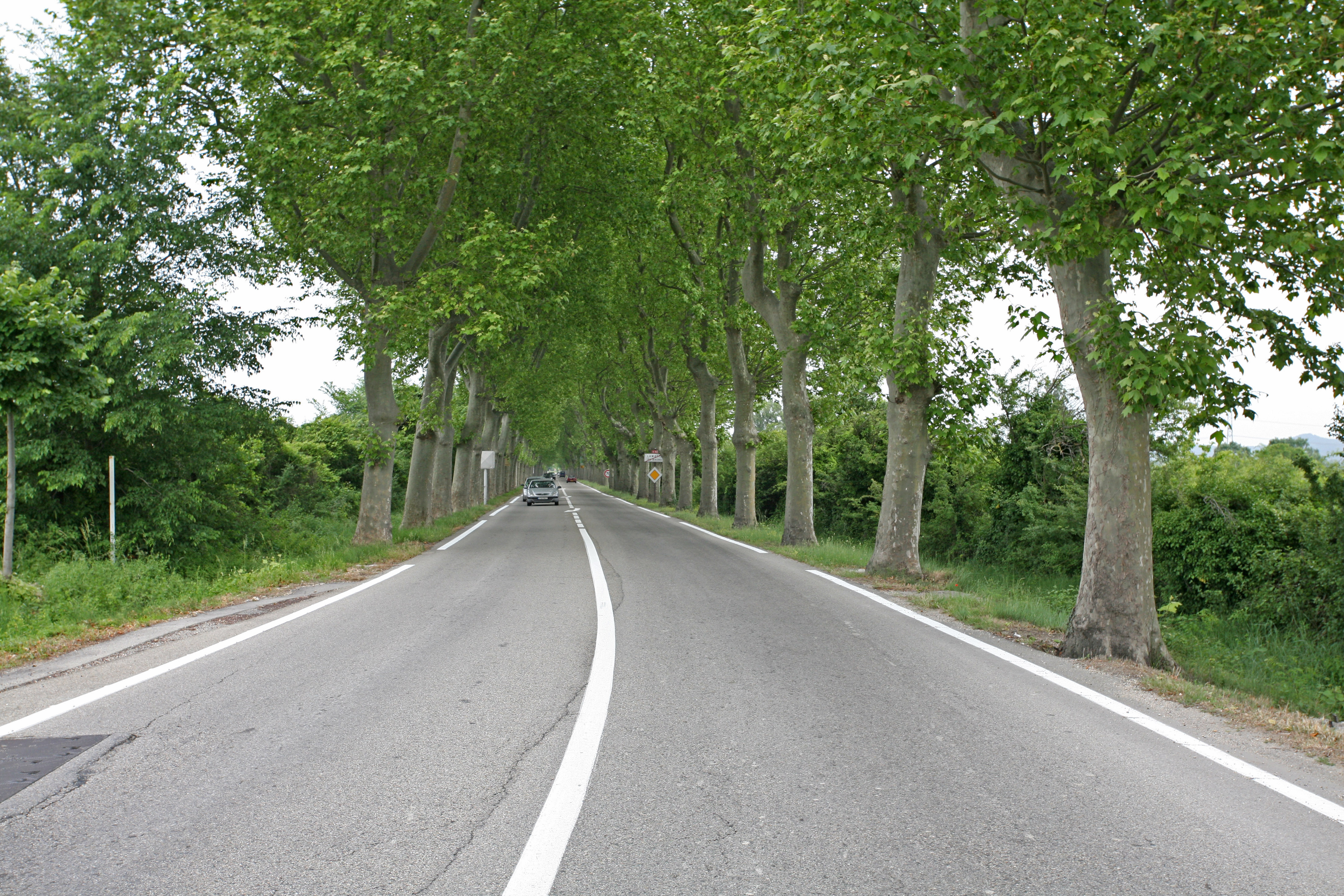 File:La route nationale 86 à la sortie de Lamotte-du-Rhône by JM ...