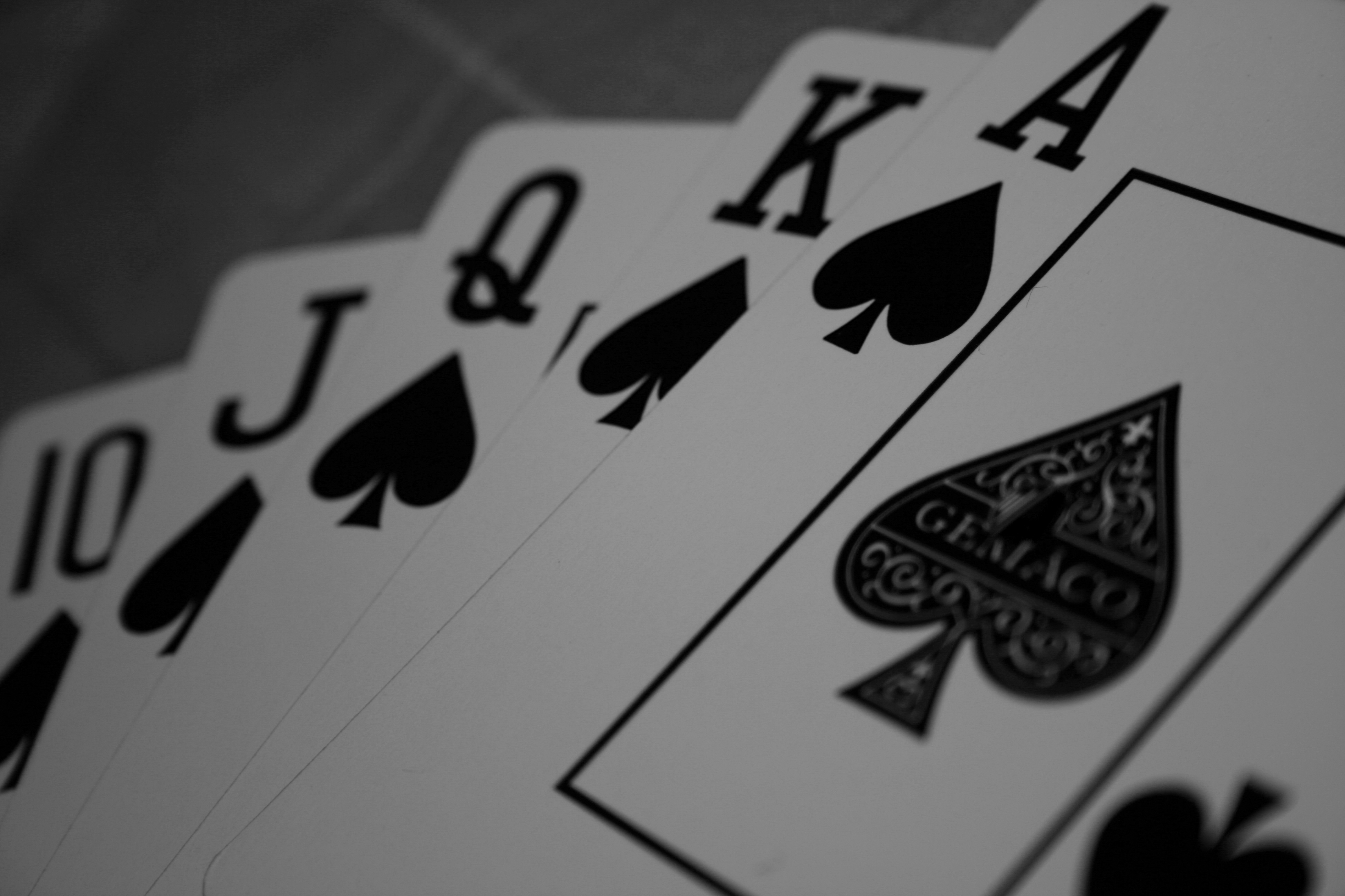 Royal Flush | Photography at the Speed of Life