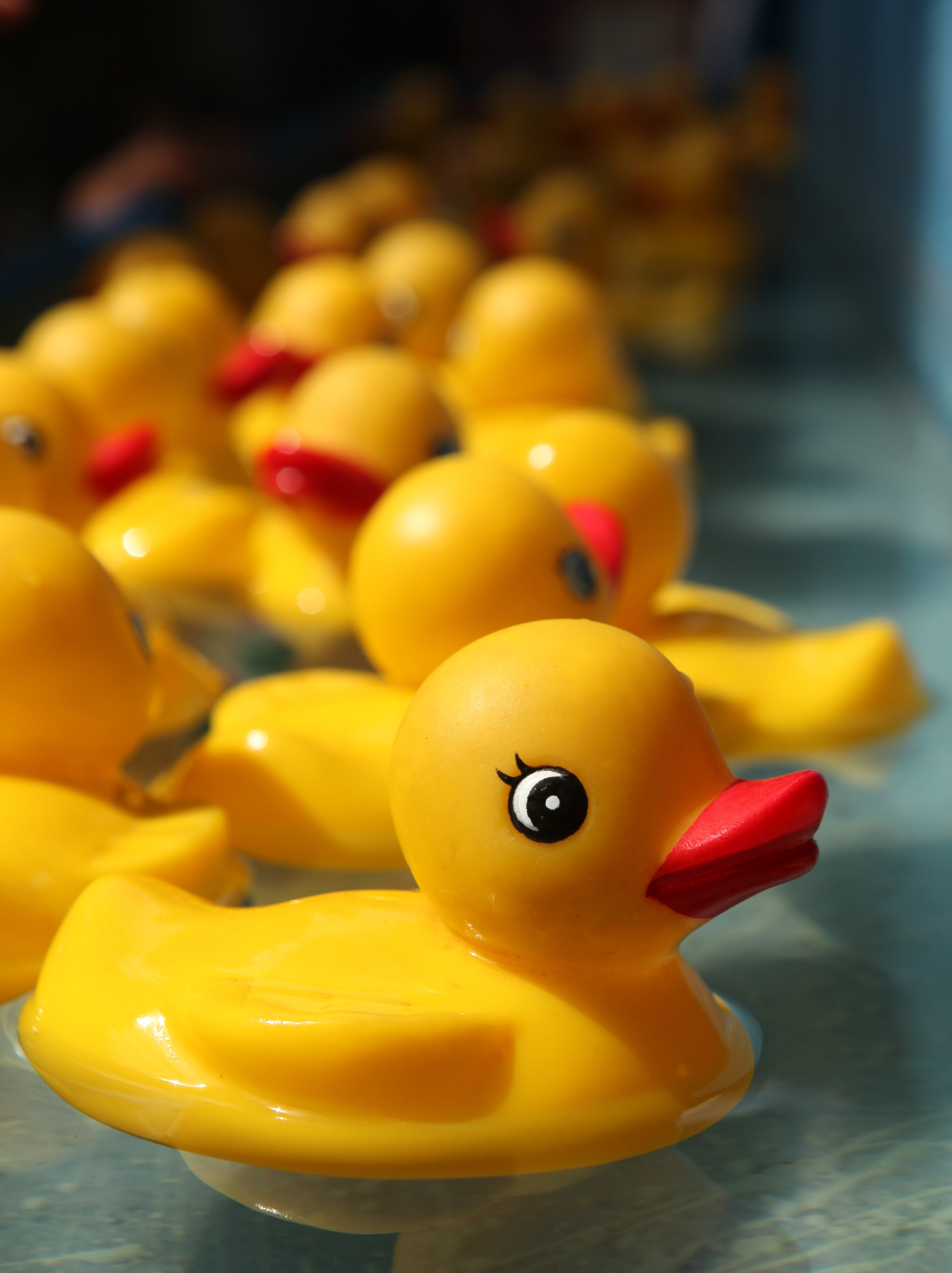When Rubber Duckies Started Making Bath Time Lots of Fun