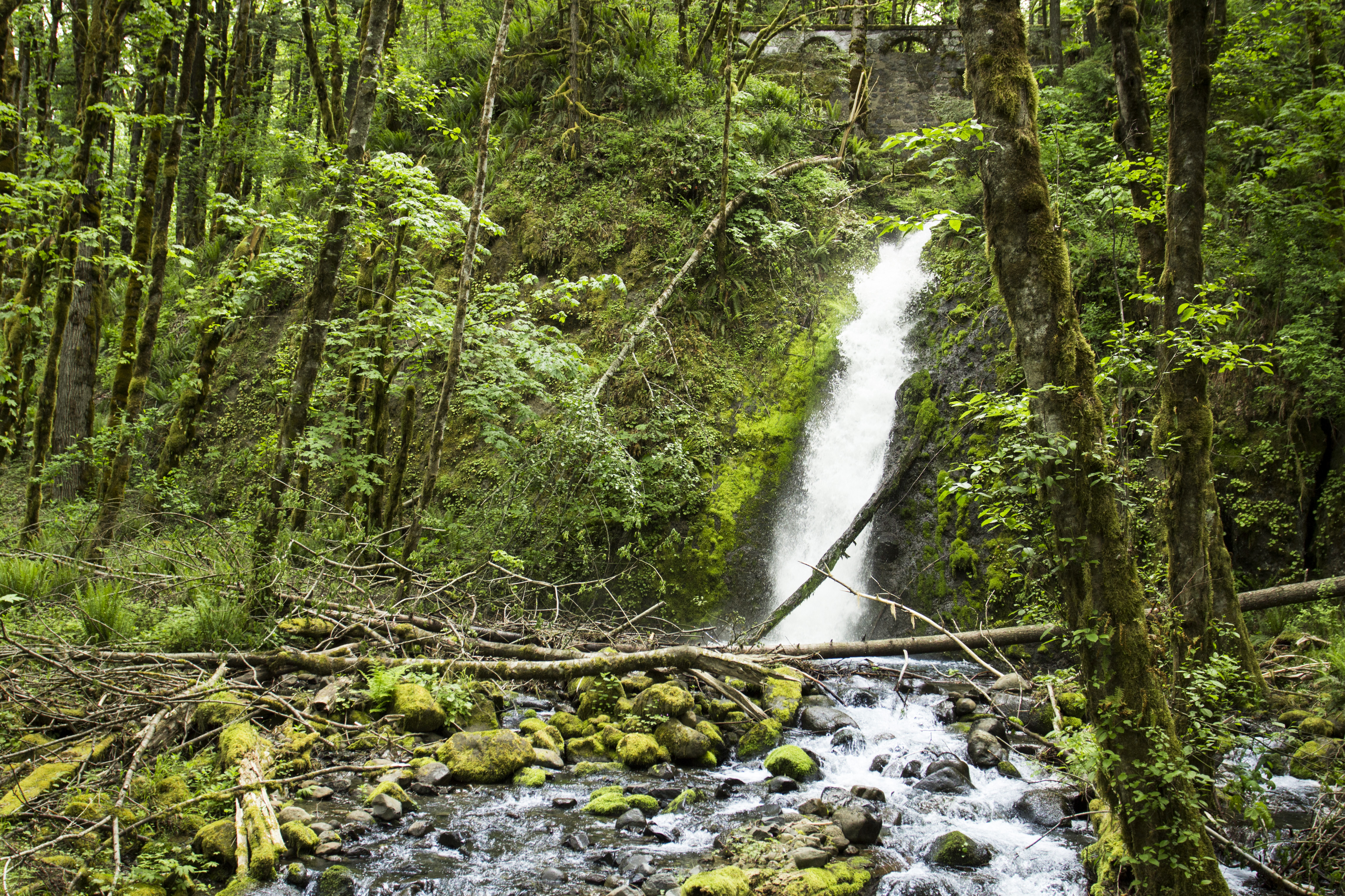 Ruckel creek waterfall, oregon photo