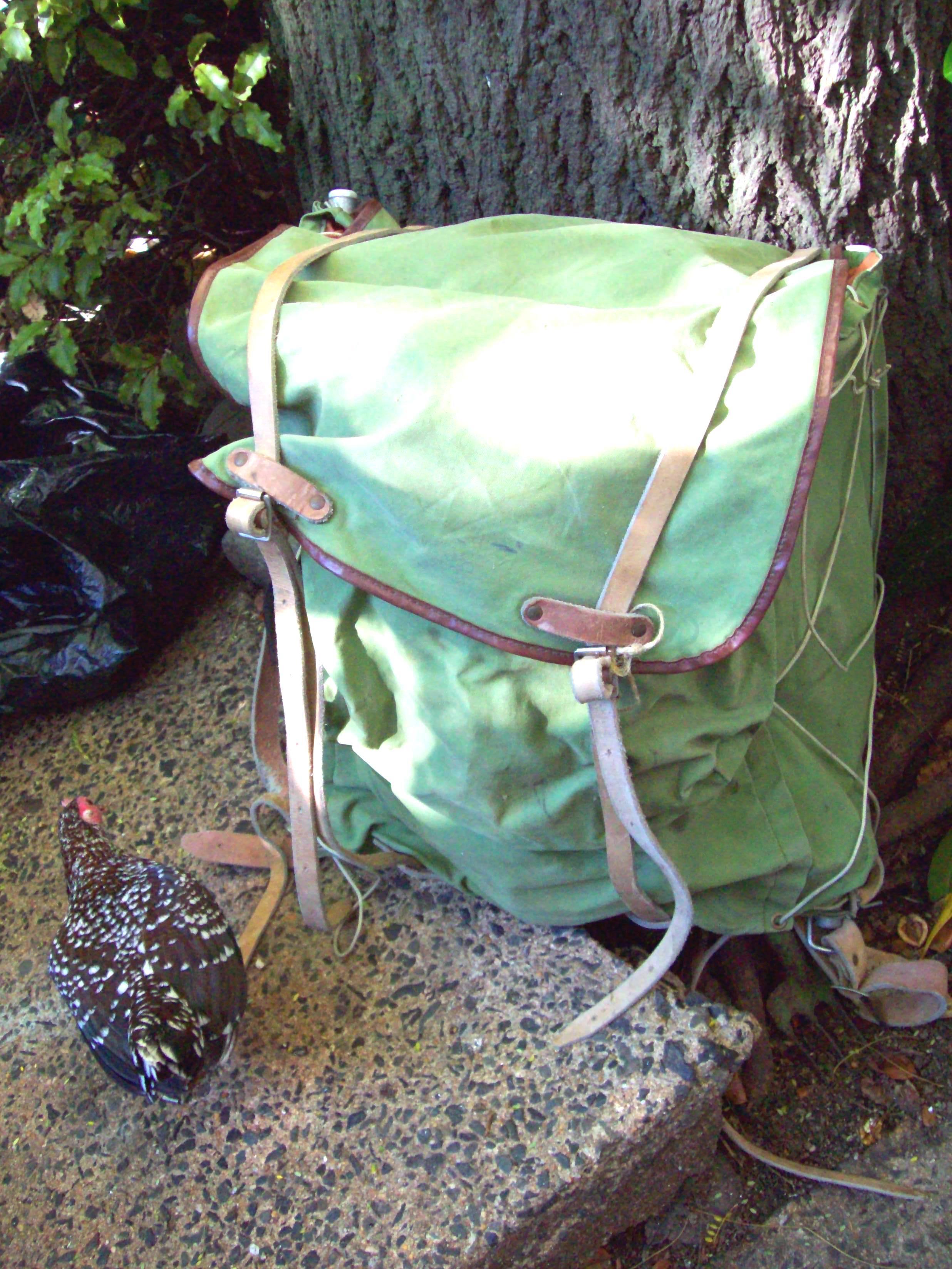 Rucksack - backpack und spangle game hen photo