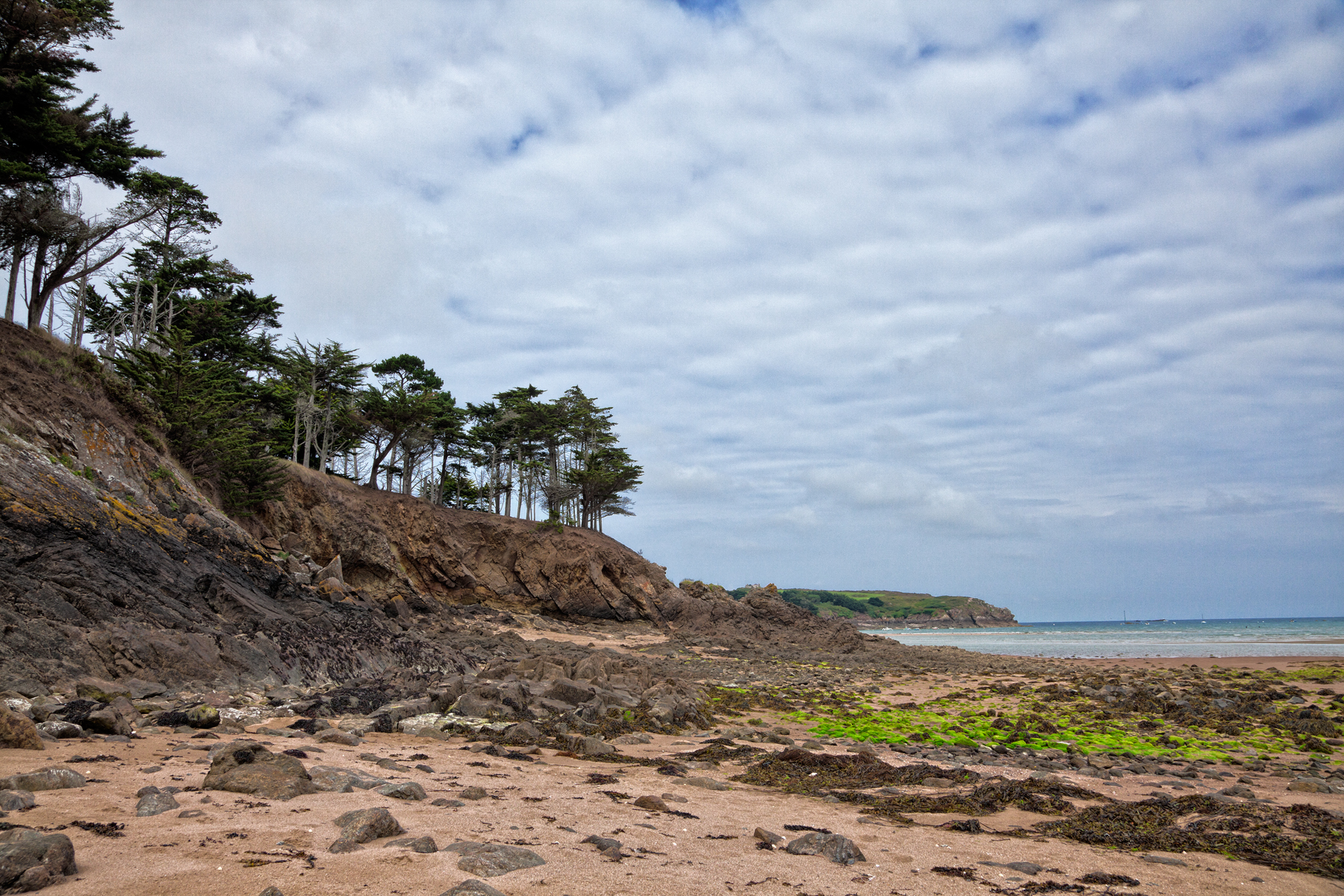 Rugged beach landscape - hdr photo