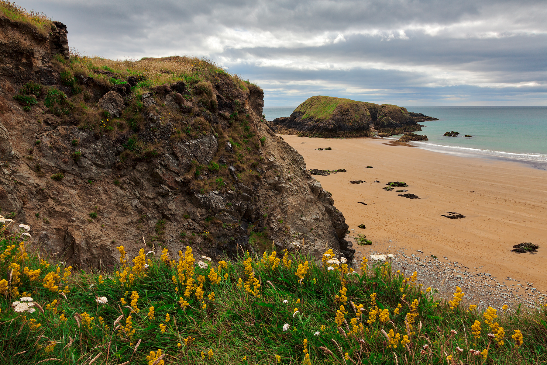 Rugged irish wildflower coast - hdr photo