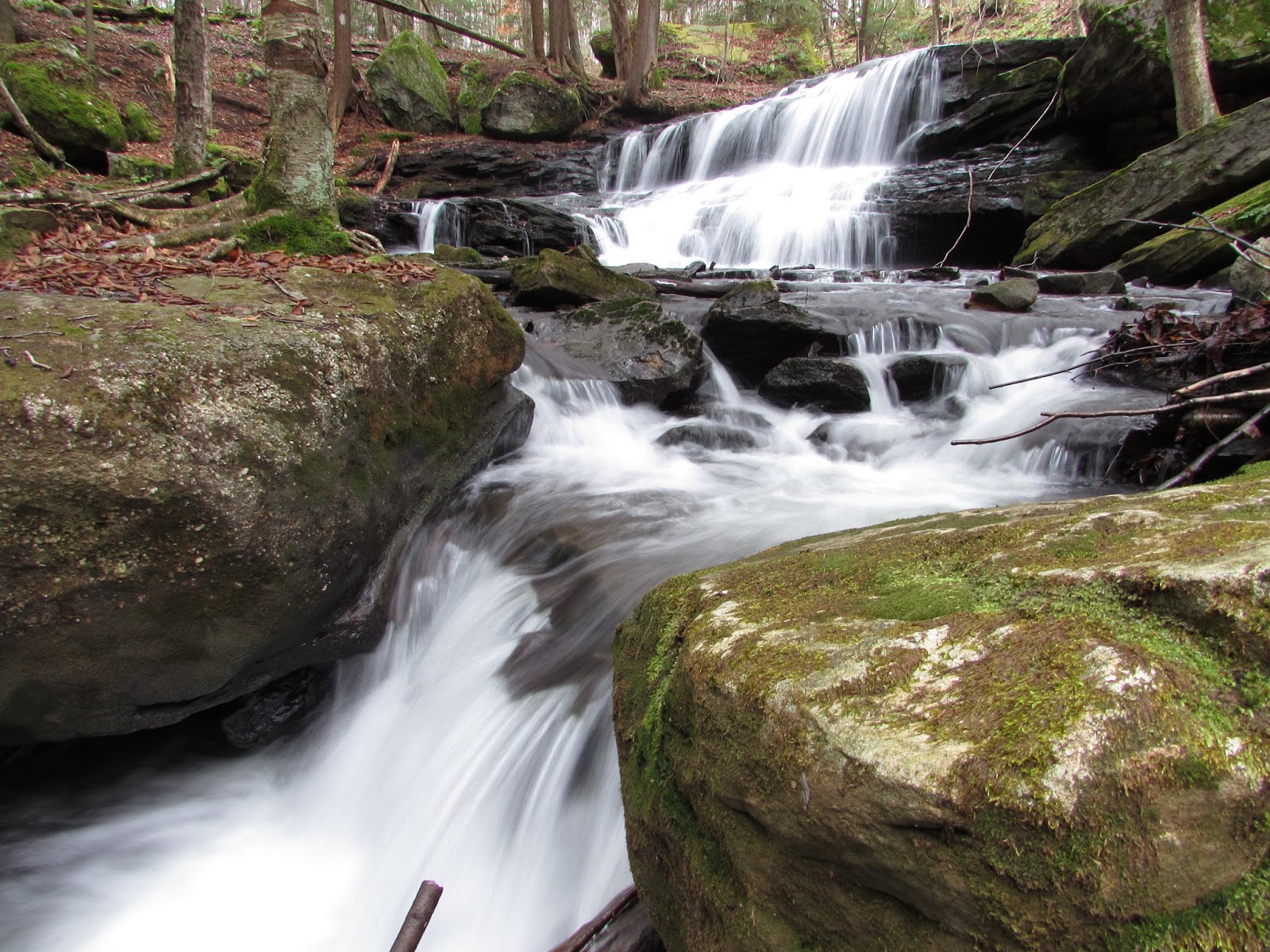Pigeon Falls, Allegheny National Forest, Marienville, PA, Forest ...