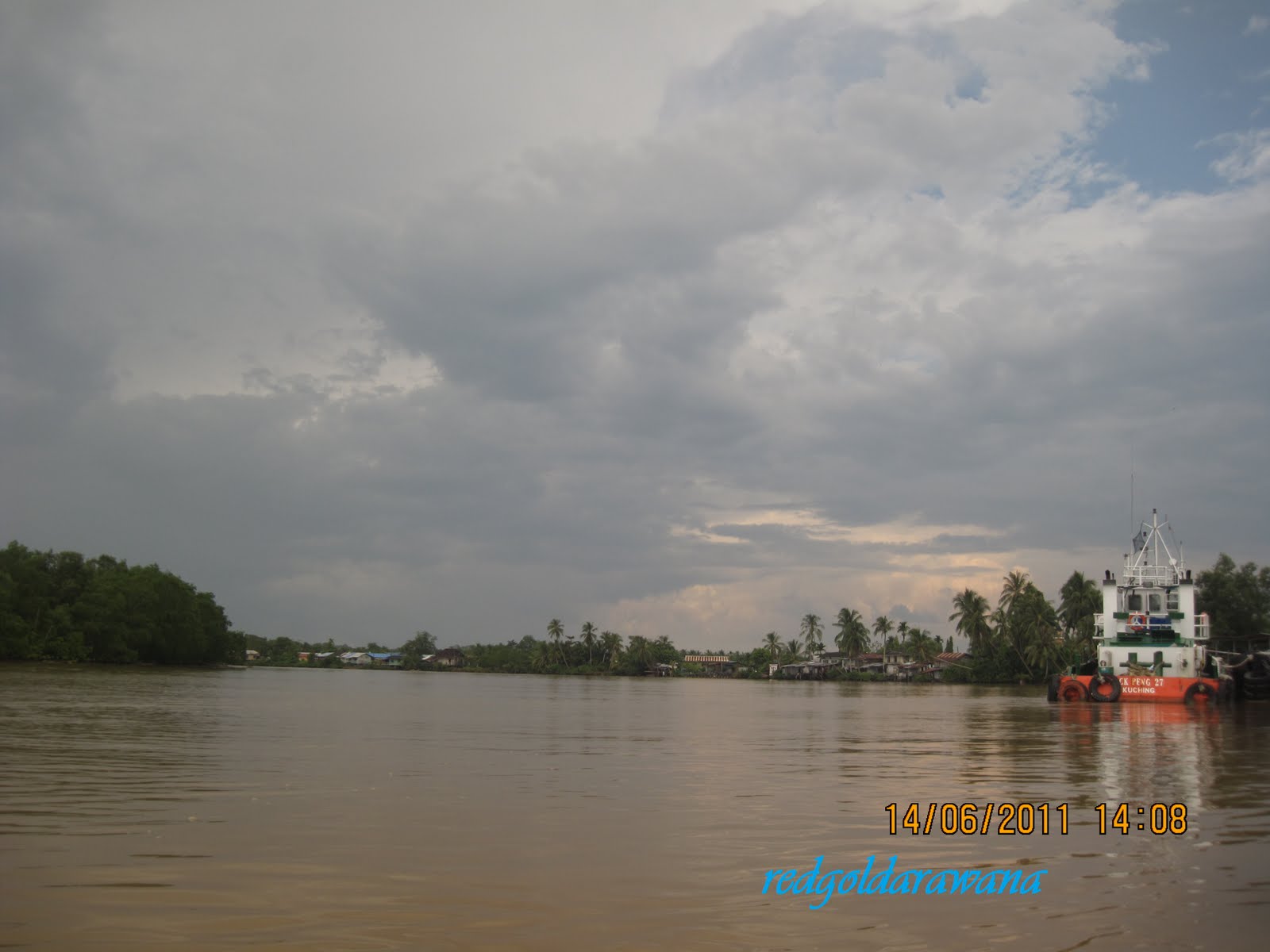 redgoldarawana: River and Life (Batang Mukah)