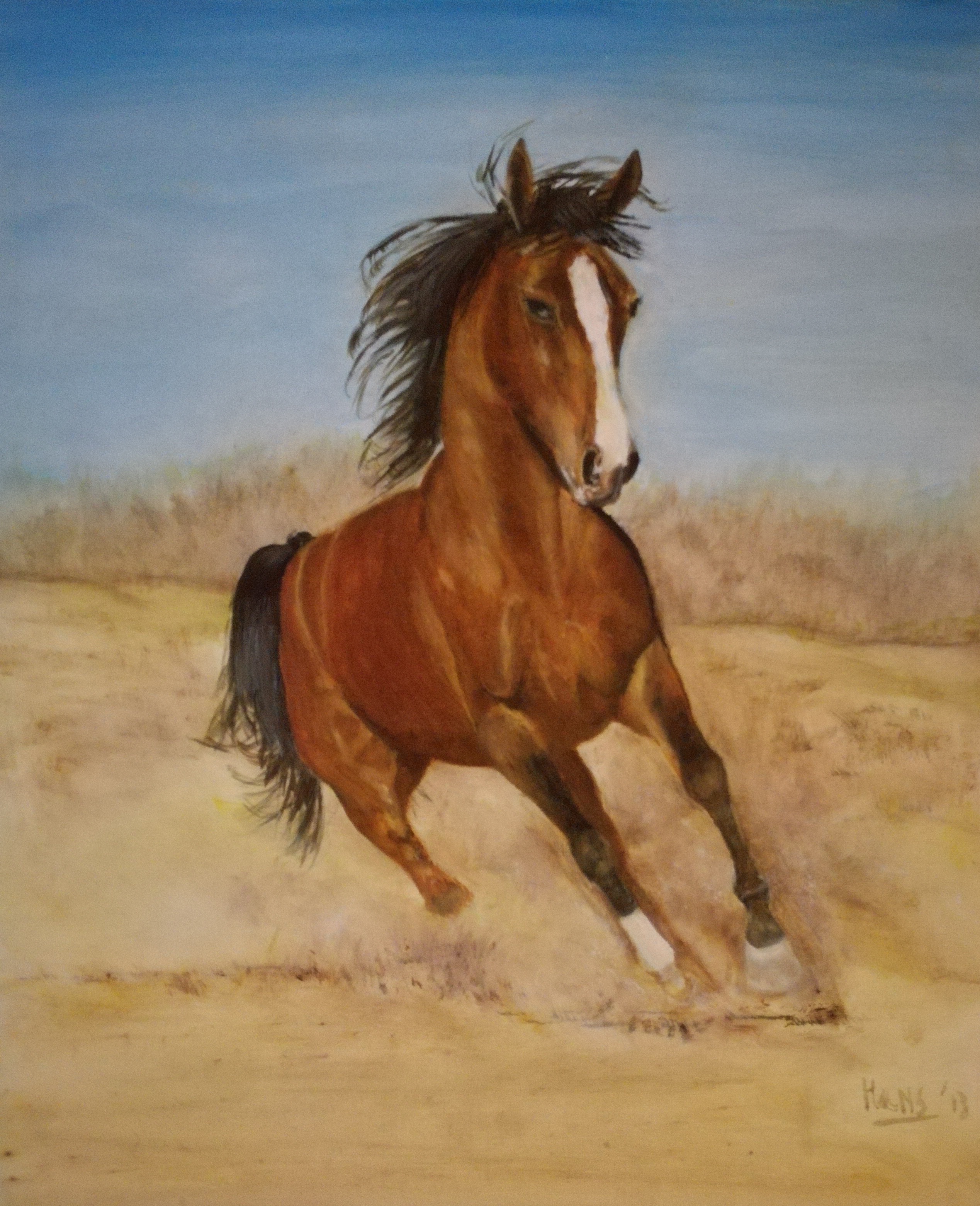 running horse | hans dutch artist | Foundmyself