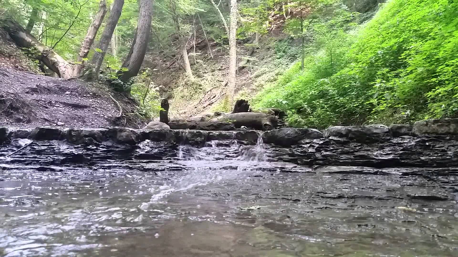 Beautiful running creek / stream, relaxing water sounds through a ...