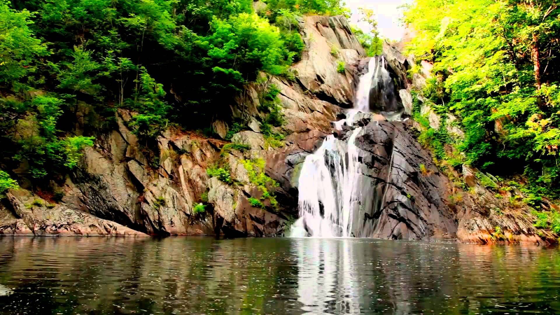 Nature Sounds: Waterfall Running Water Birds Chirping Tranquil ...