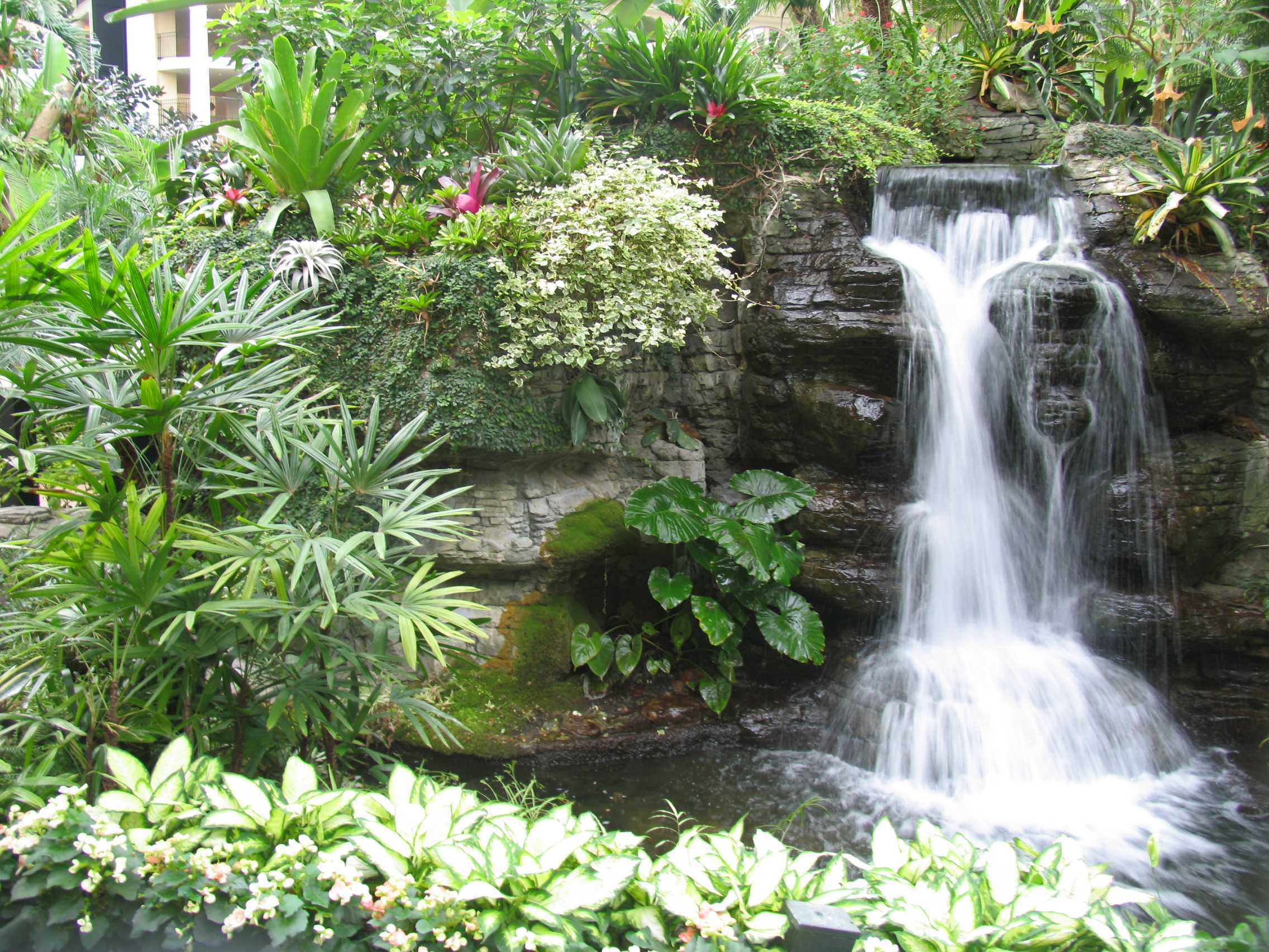 Waterfalls : The Soothing Sights and Sounds of Running Water ...