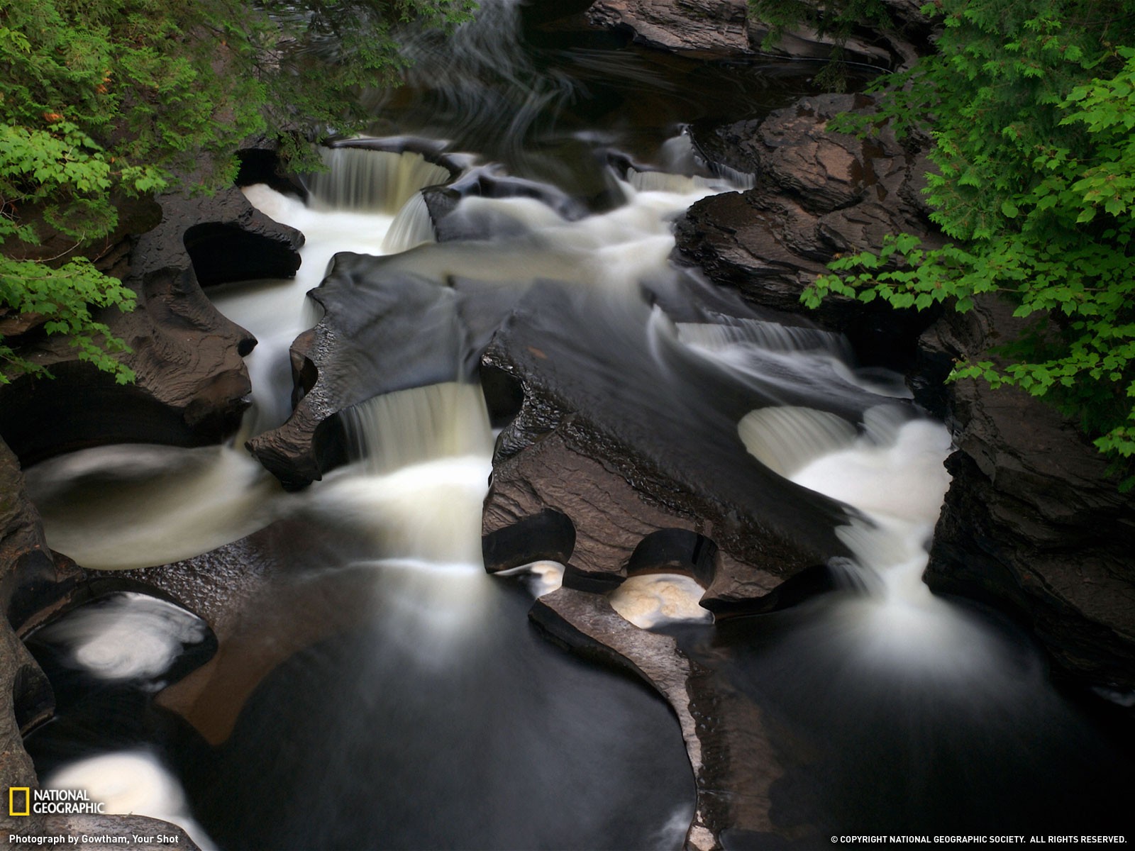 River: Running Water River Stream Flowing Nature Trees Rocks Creek ...