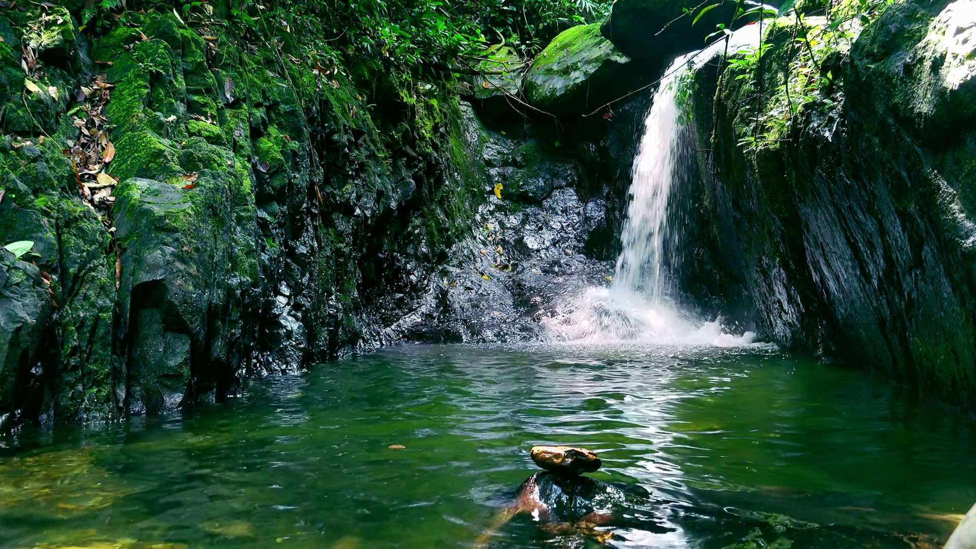 Spellbinding pond with waterfall in middle of jungle. Mysterious ...