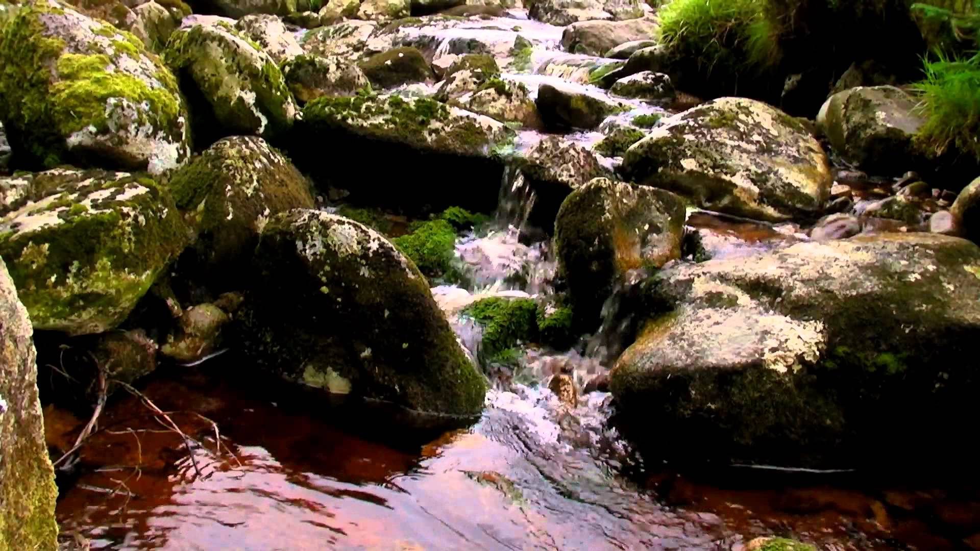 Mountain Stream with Sounds of Running Water No Music - YouTube
