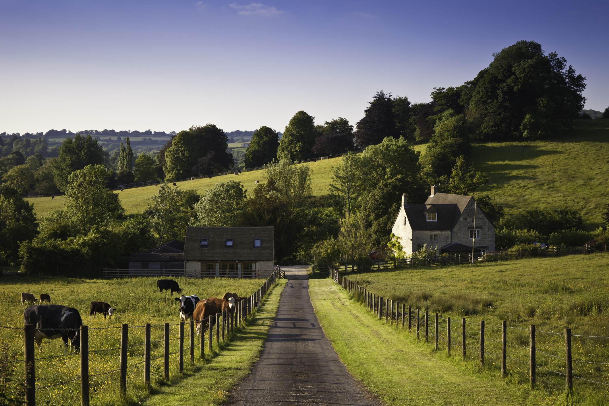 Rural areas have higher self-employment rates, says Rural Economy ...