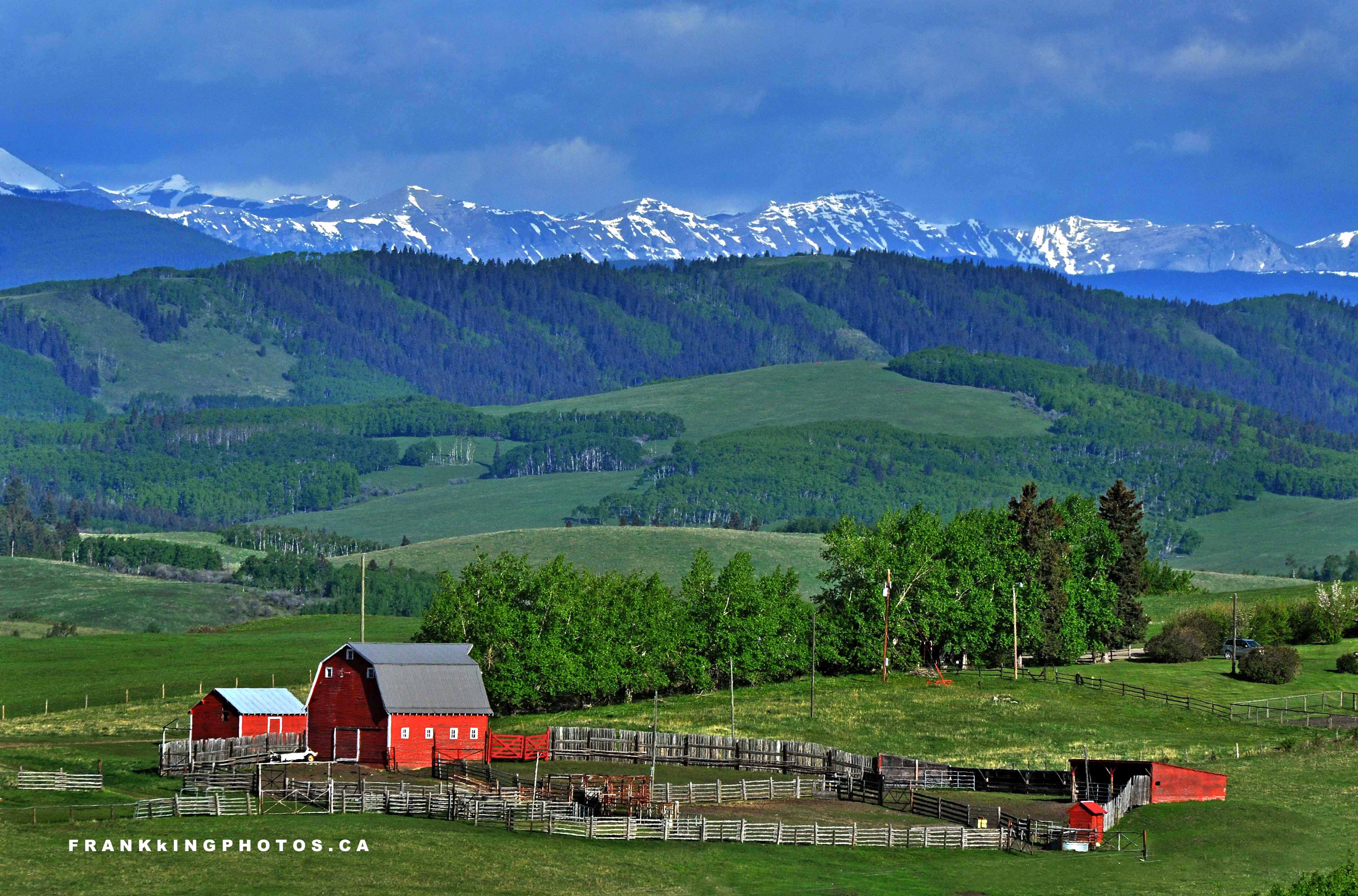 Rural landscapes: summer in the foothills | FRANK KING PHOTOS