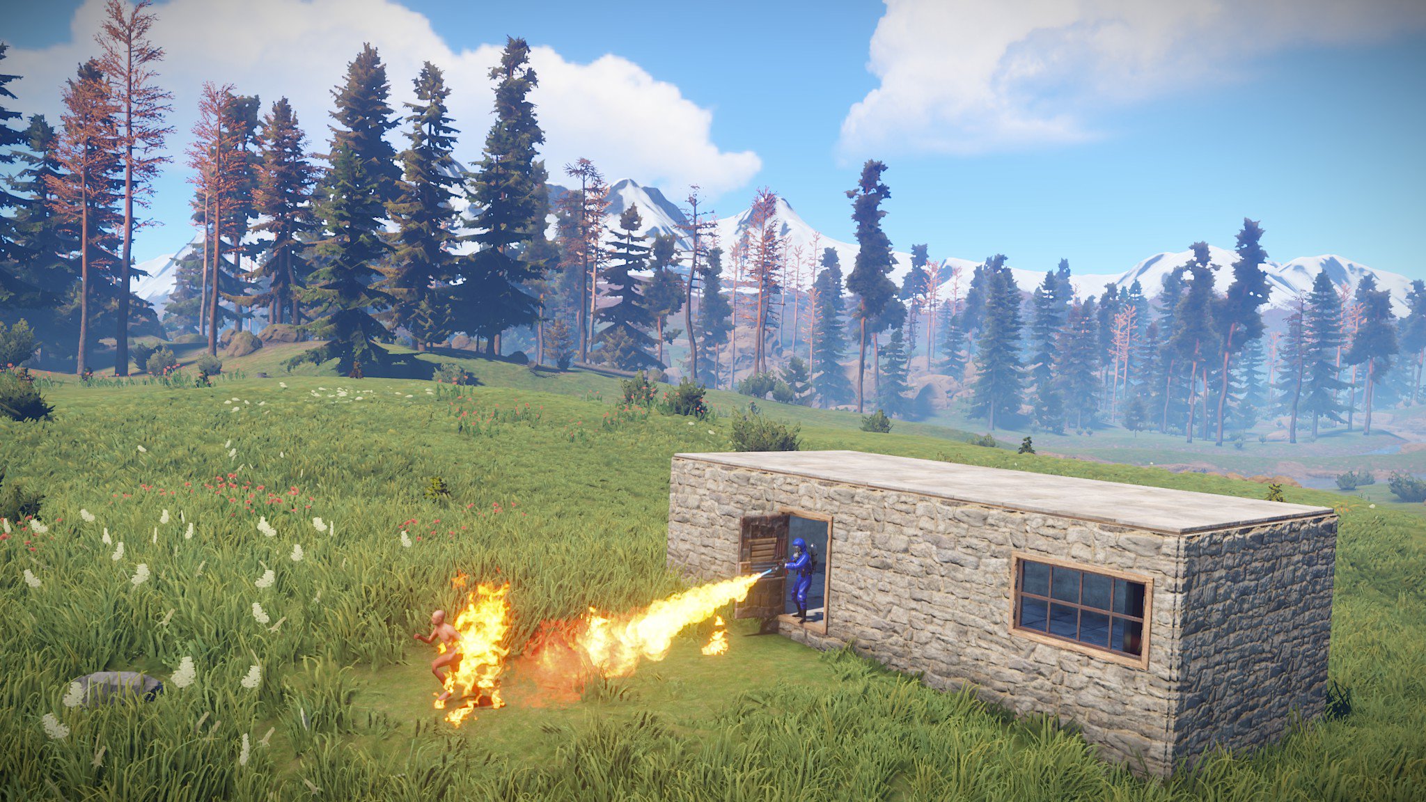 Review: Rust