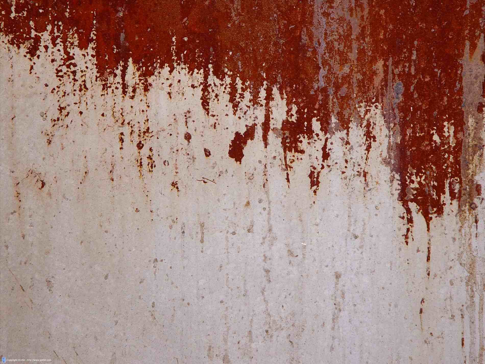 Rust the wall фото 109