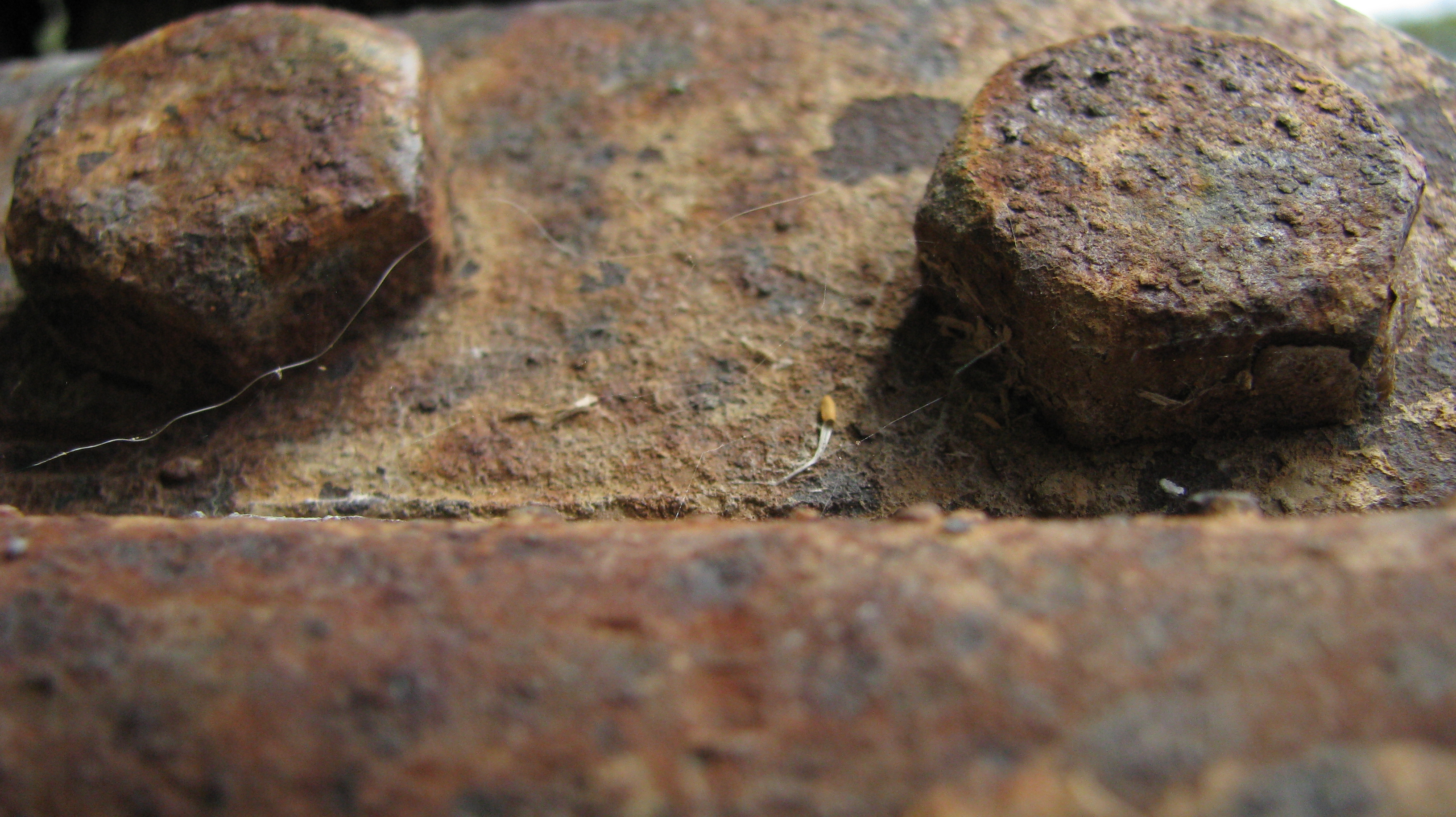 Rusted bolts photo