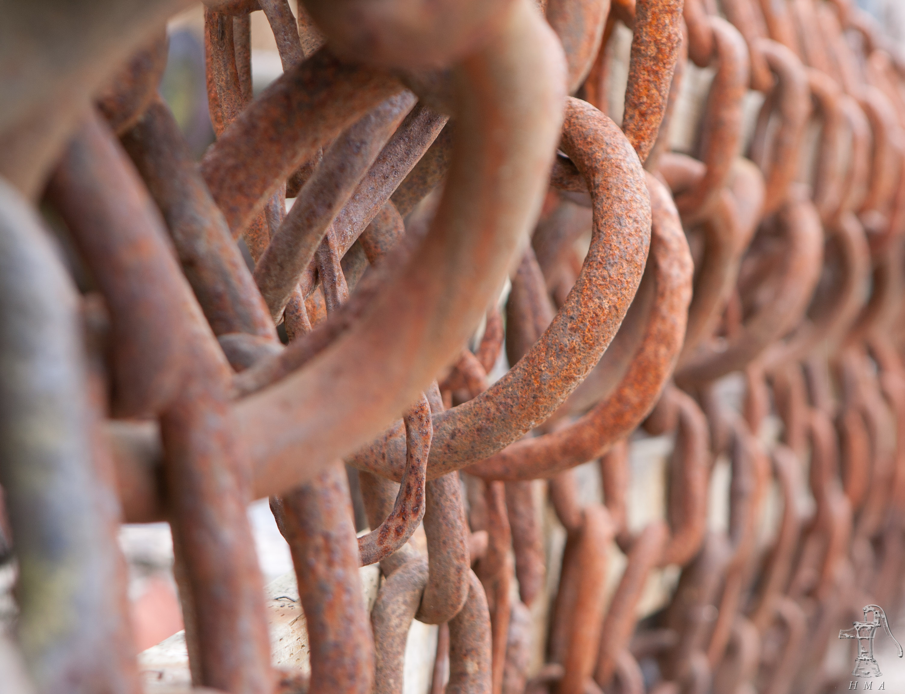 Rusted Chains | NatureScapePix