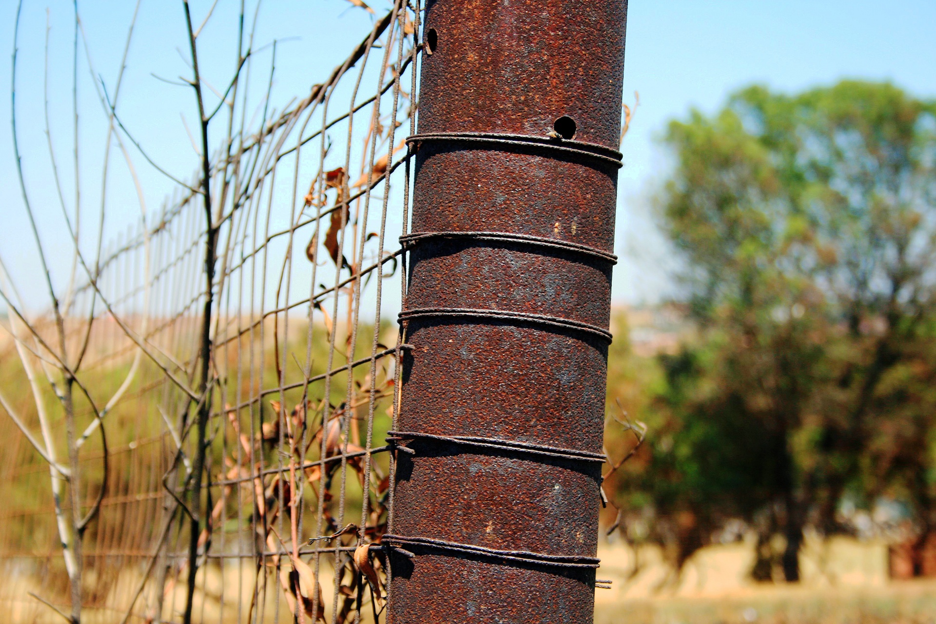Rusted Fence Post Free Stock Photo - Public Domain Pictures